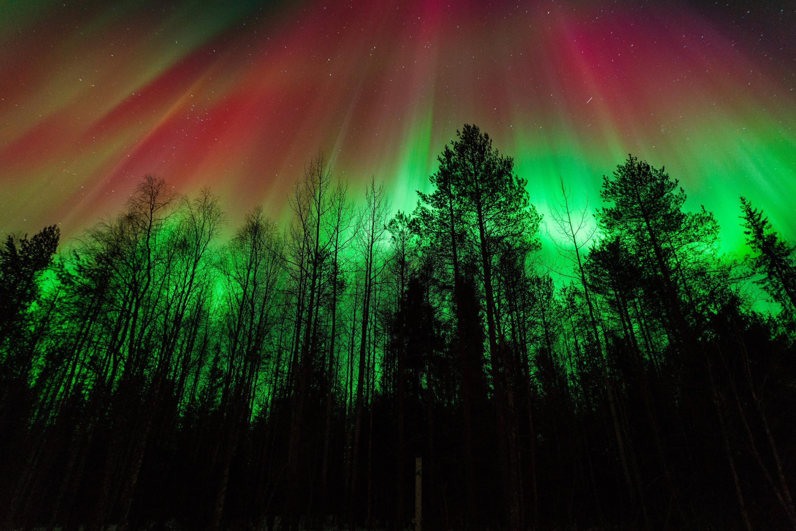 Полярное Сияние. Северные Ночи