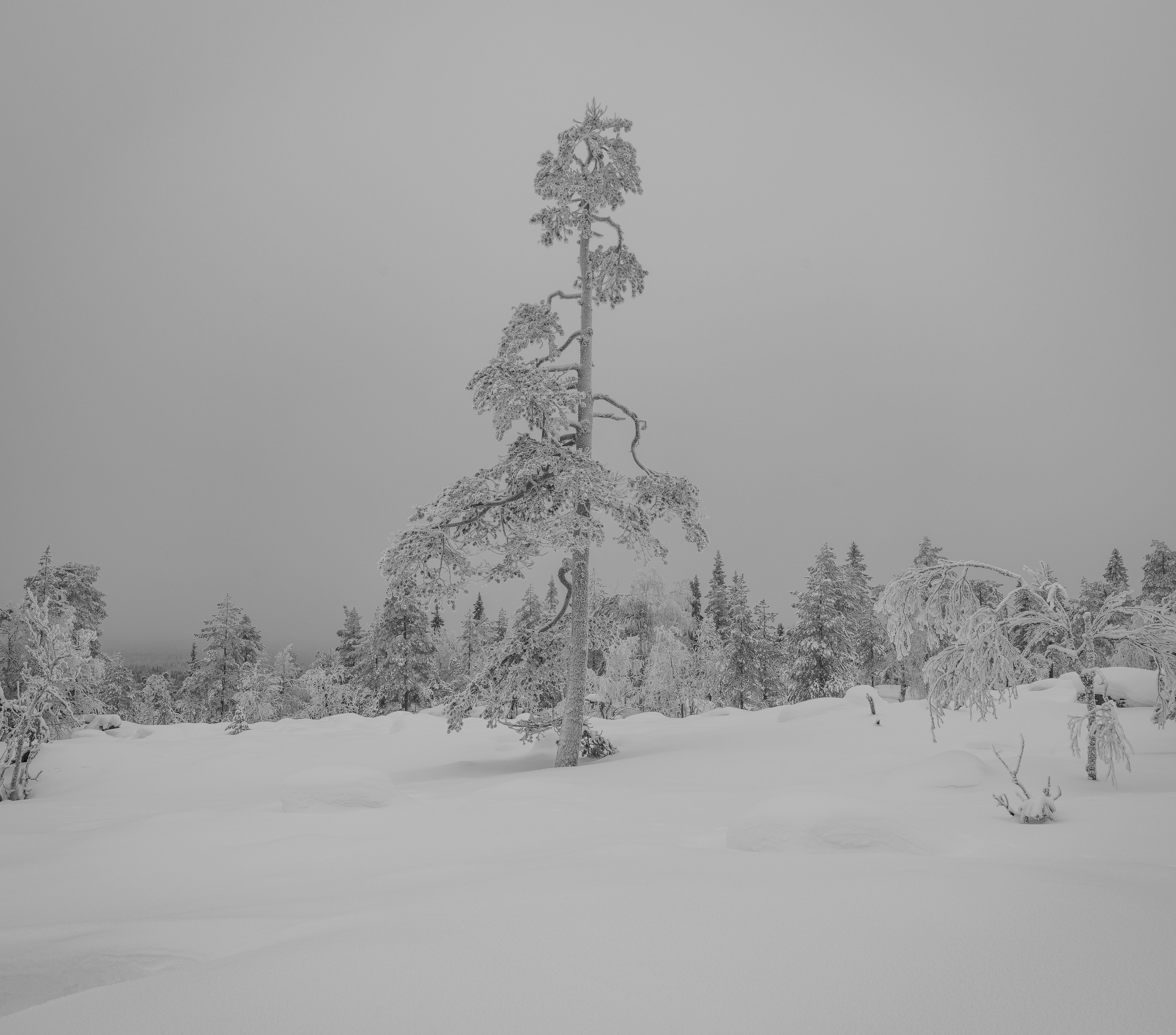 Зима. Северные Ночи