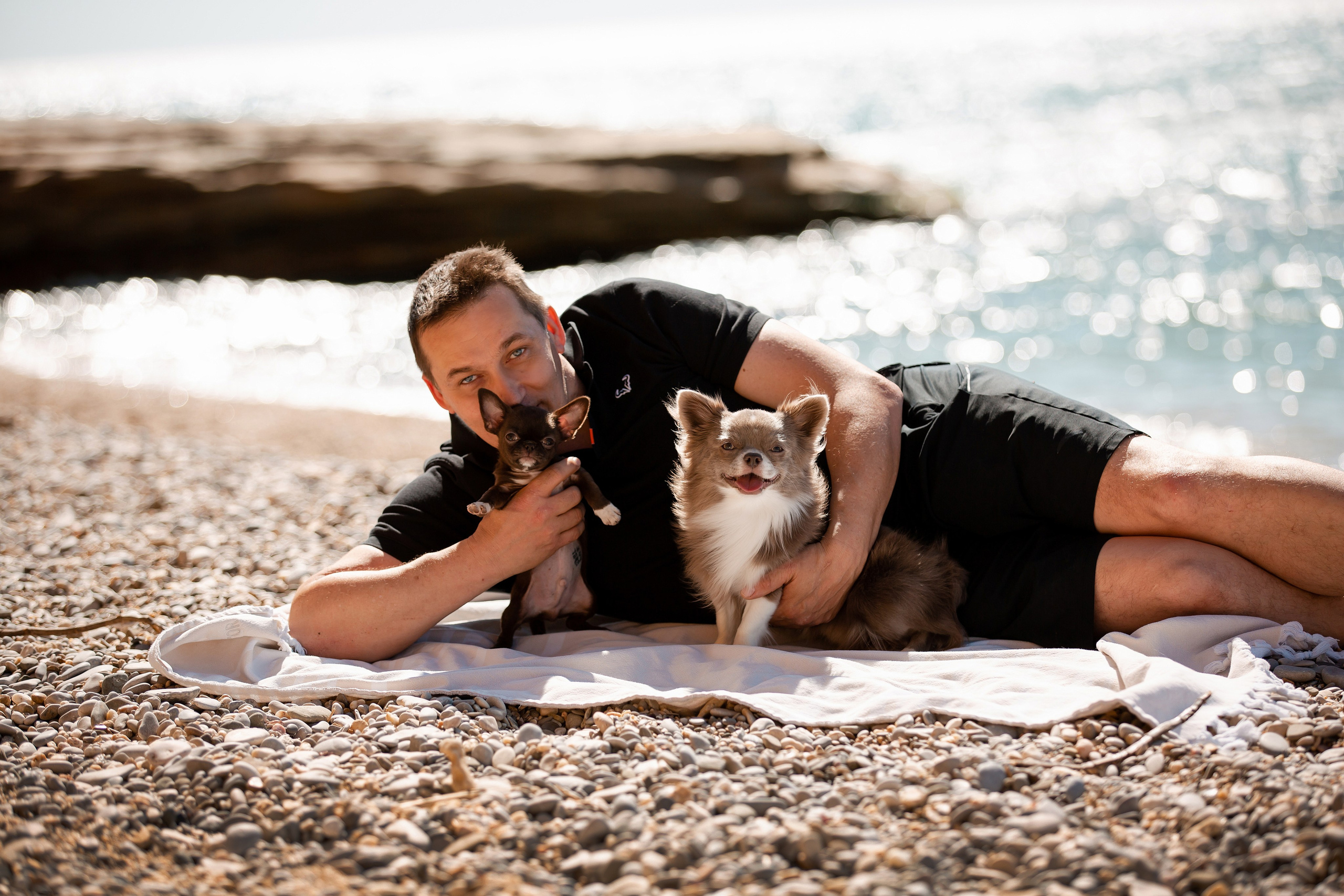 Веймаранер и чихуахуа в Крыму. Фотограф-анималист в Краснодаре Маша Мельникова