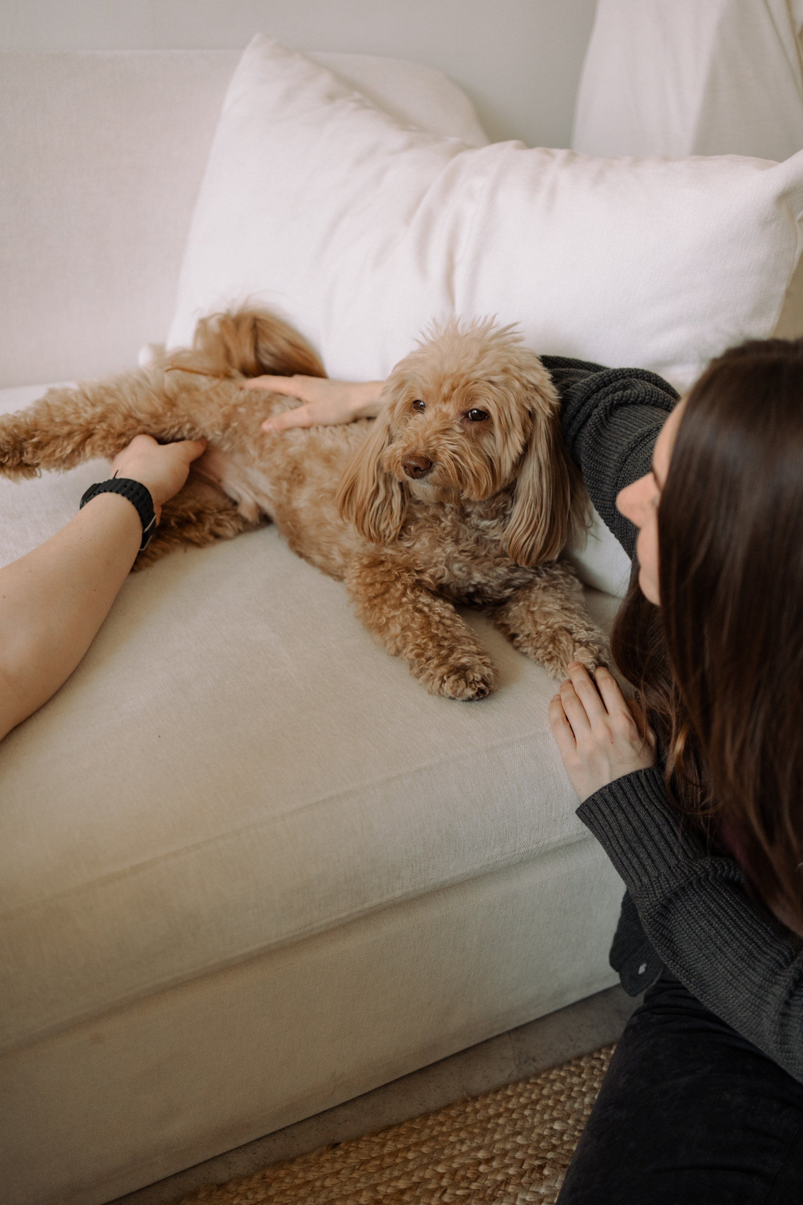 Шкипер и его семья. Фотограф — Анималист | Санкт-Петербург