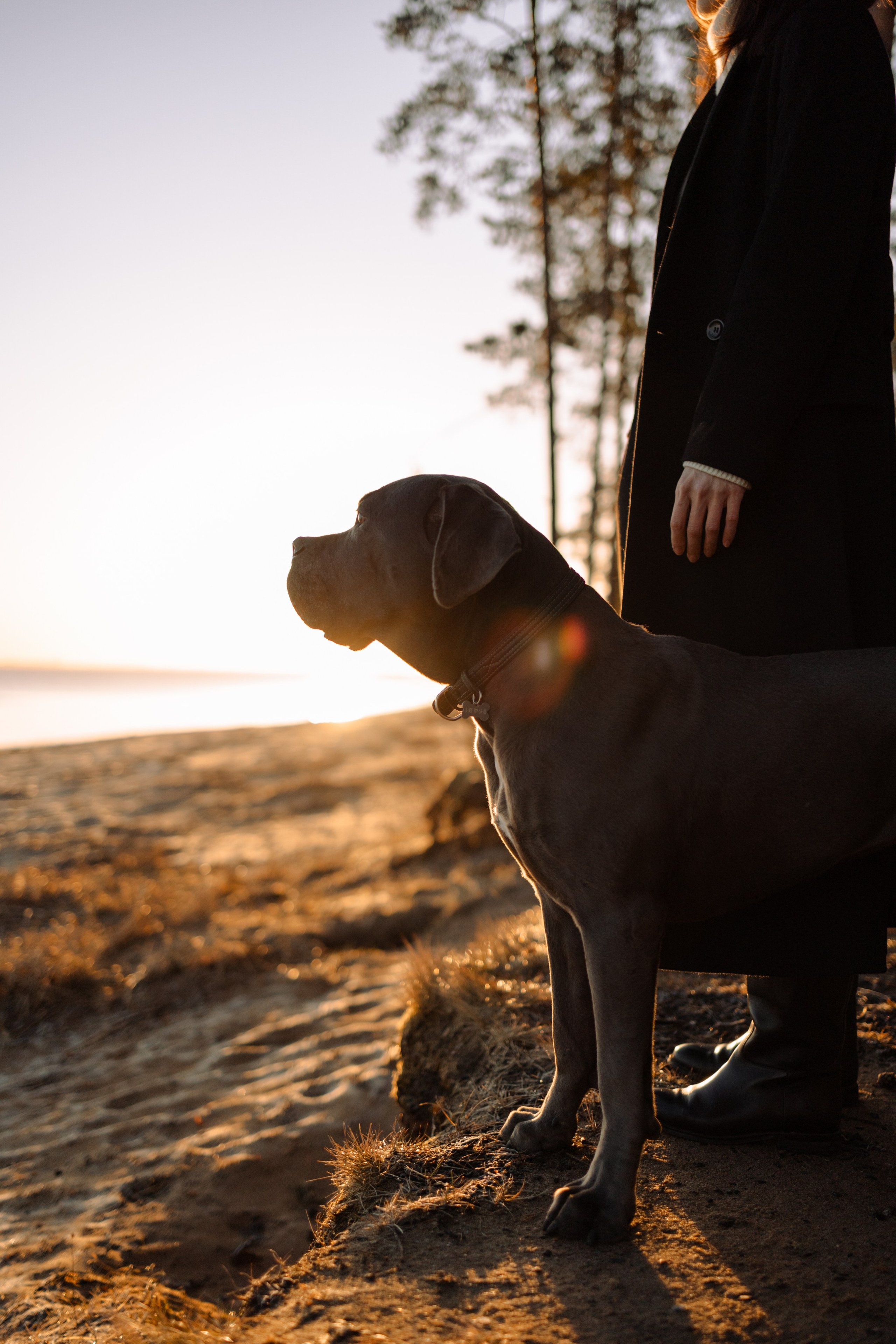 Анна и Лана. Фотограф — Анималист | Санкт-Петербург