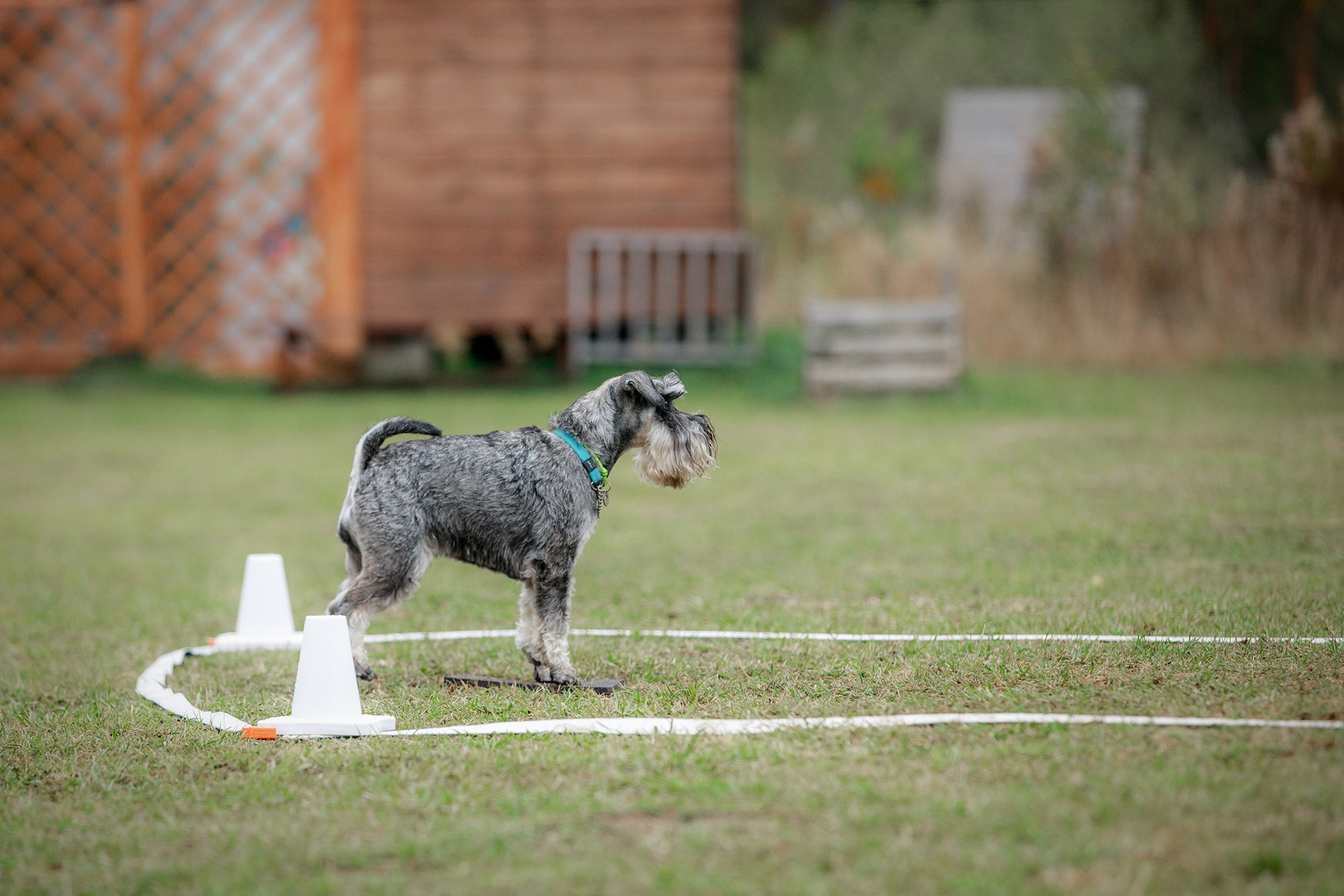 Лагерь по ОБД с Инной Баженовой. Фотограф-анималист Mary Mart — Москва, Питер