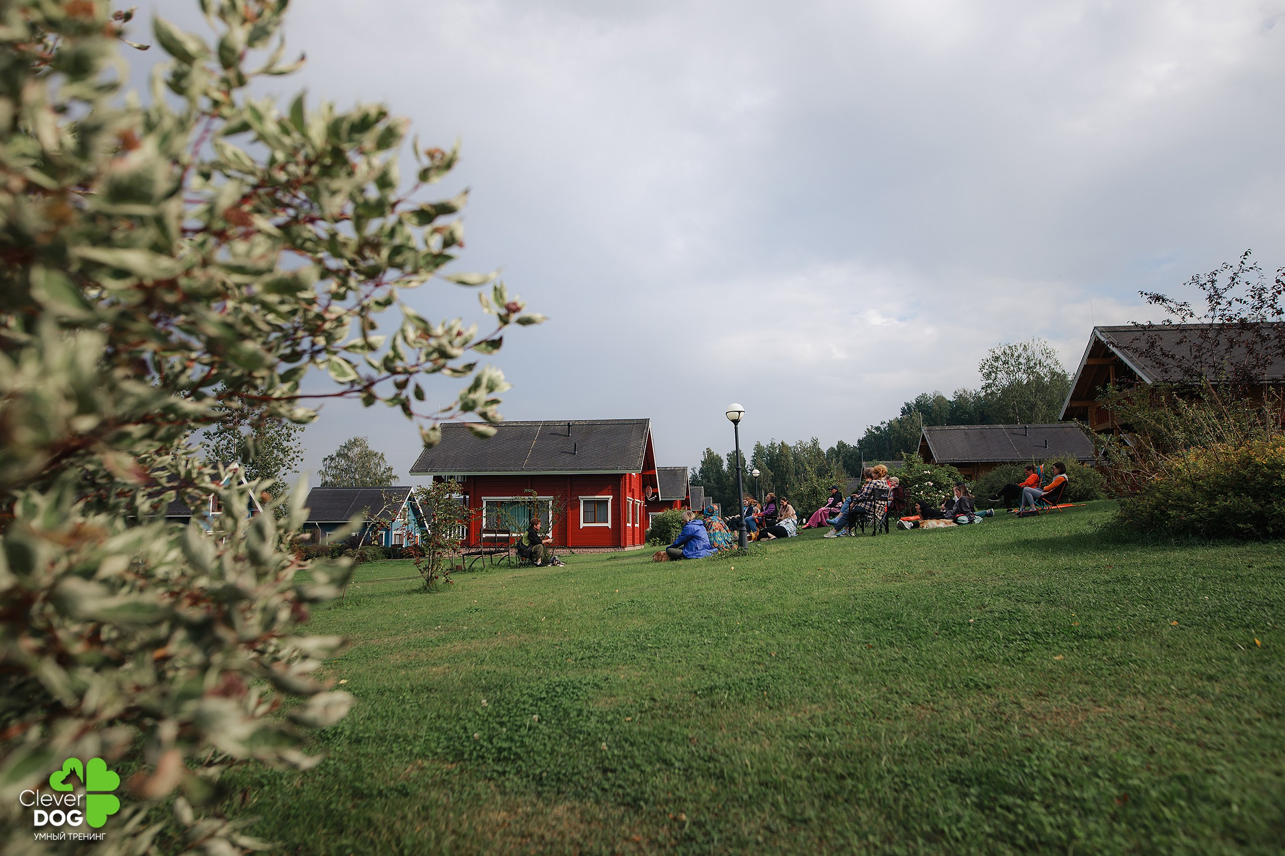 Кинологический лагерь CleverDog, 2024. Фотограф-анималист Mary Mart — Москва, Питер
