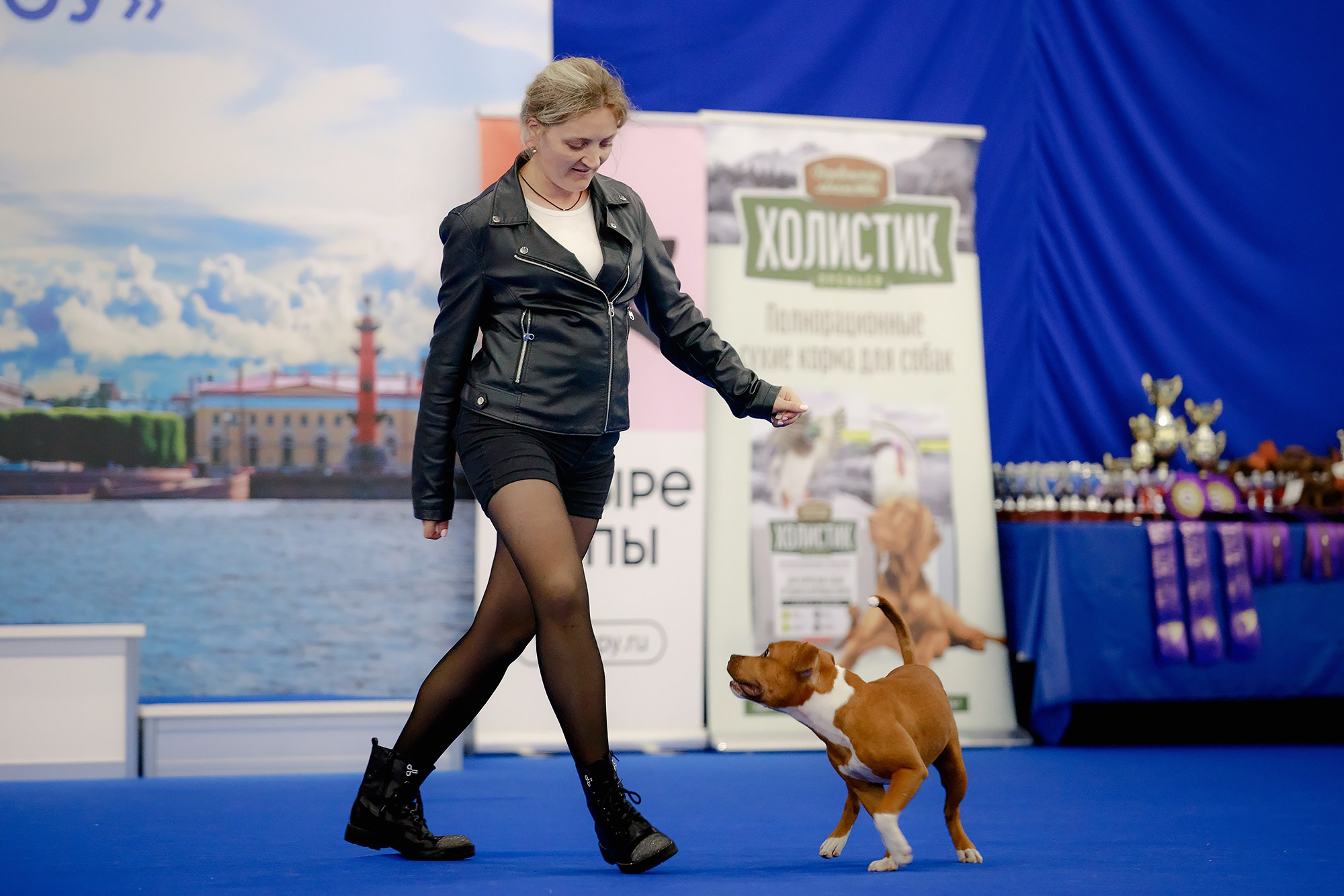 Танцы на выставке «Зоошоу», СПб. Фотограф-анималист Mary Mart — Москва, Питер