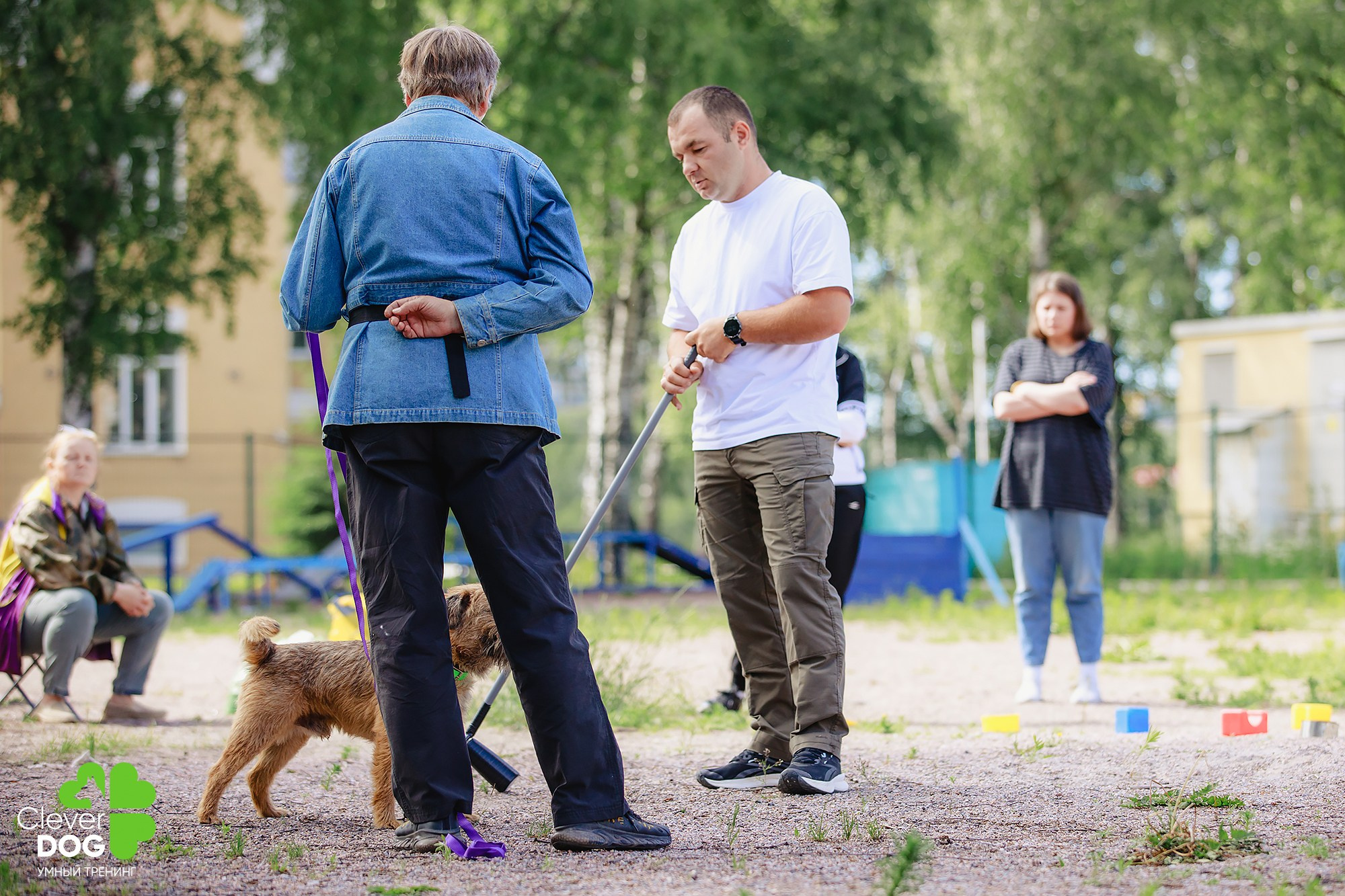 Семинар по поиску запаха с Иваном Ломовым, организатор CleverDog, СПб. Фотограф-анималист Mary Mart — Москва, Питер