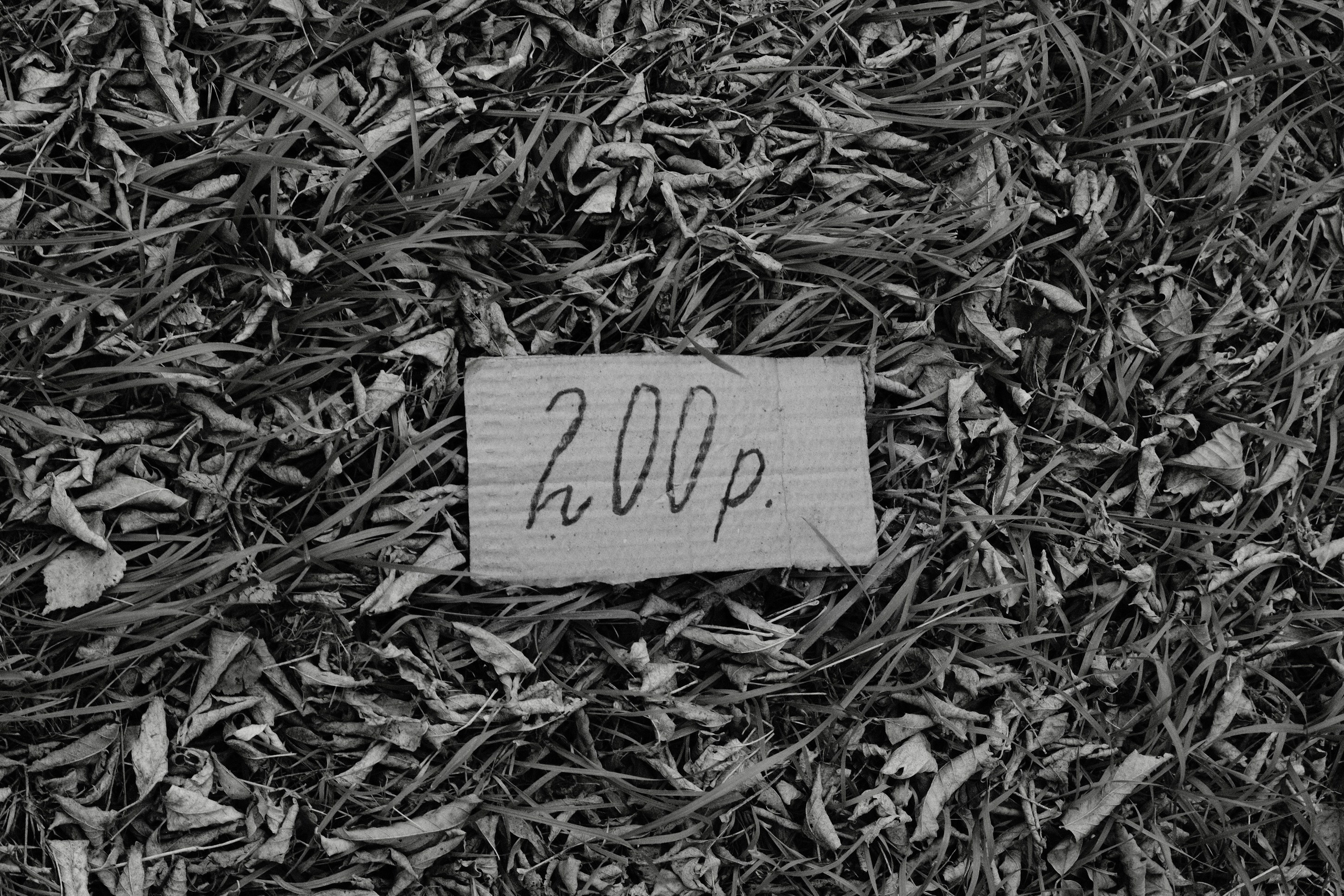 Чехов-Серпухов. Фотограф Маргана Лоция