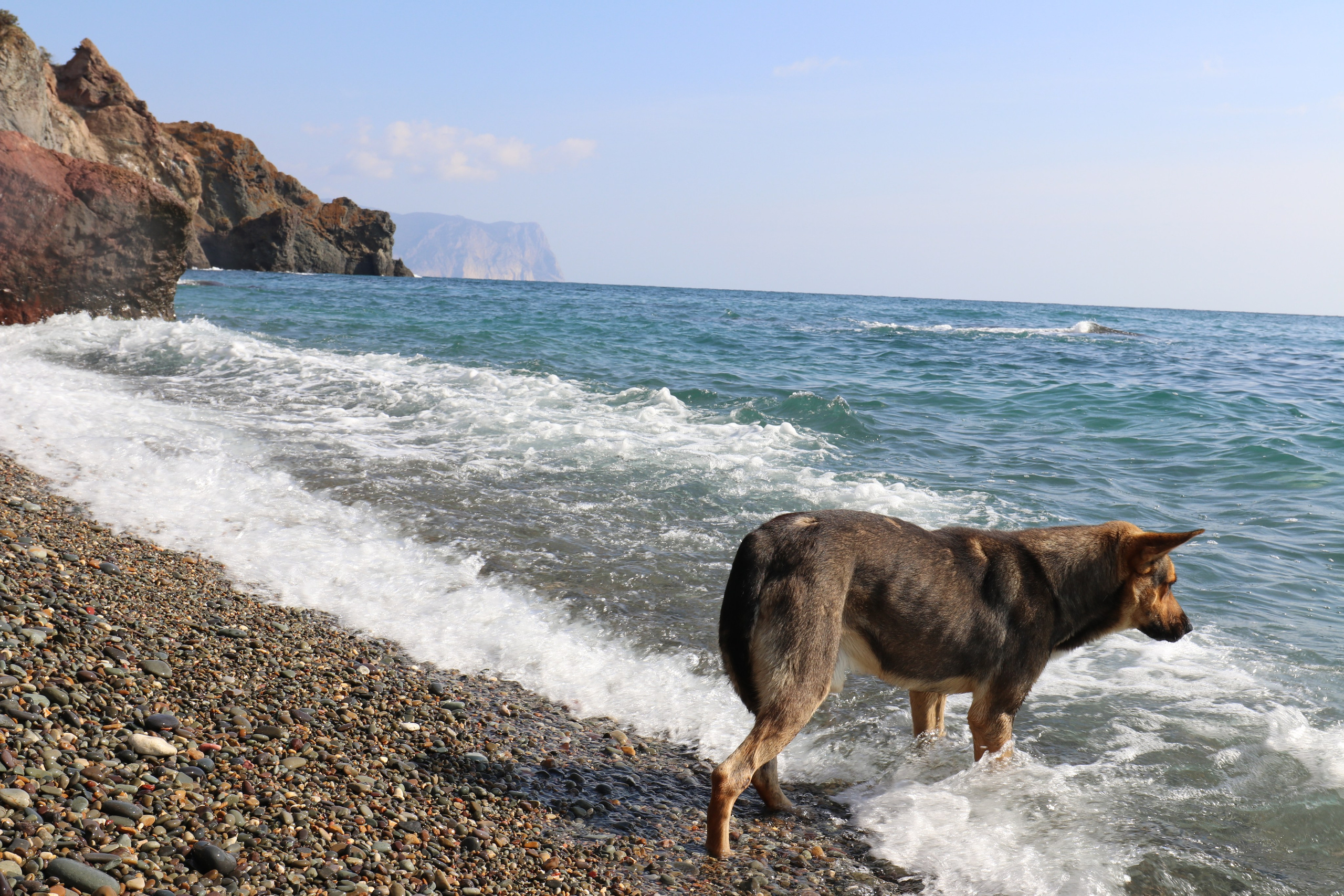 Крым. ЮБК (Фиолент, Ай-Петри, Роман-Кош). Знакомство. Октябрь 2017. Путешественник-фотограф из Санкт-Петербурга Татьяна Свистулина