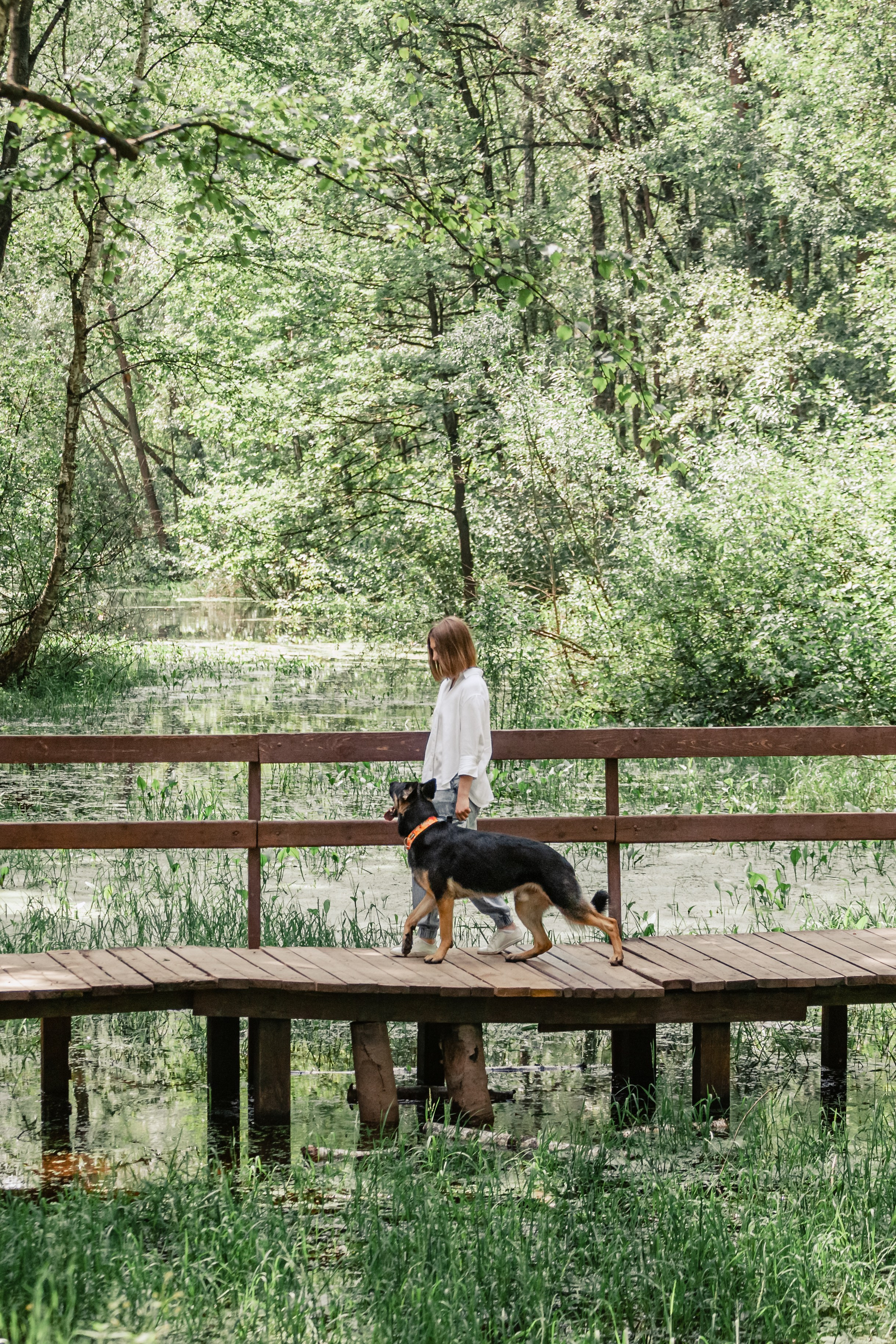 Лесная летняя фотопрогулка. Фотограф-анималист Татьяна Степанова