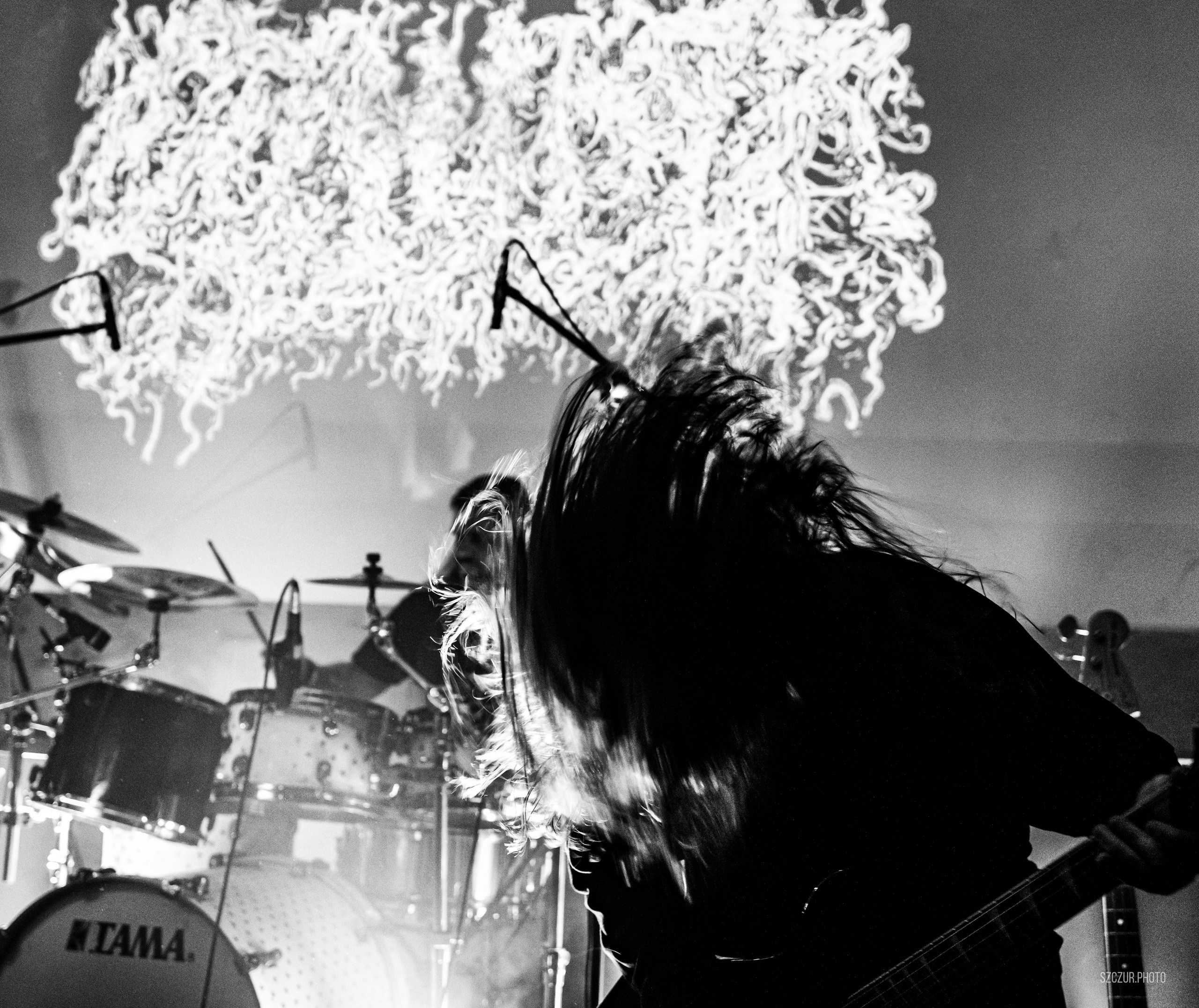 Gosudar в Eclipse 17.01.25. Szczur photo