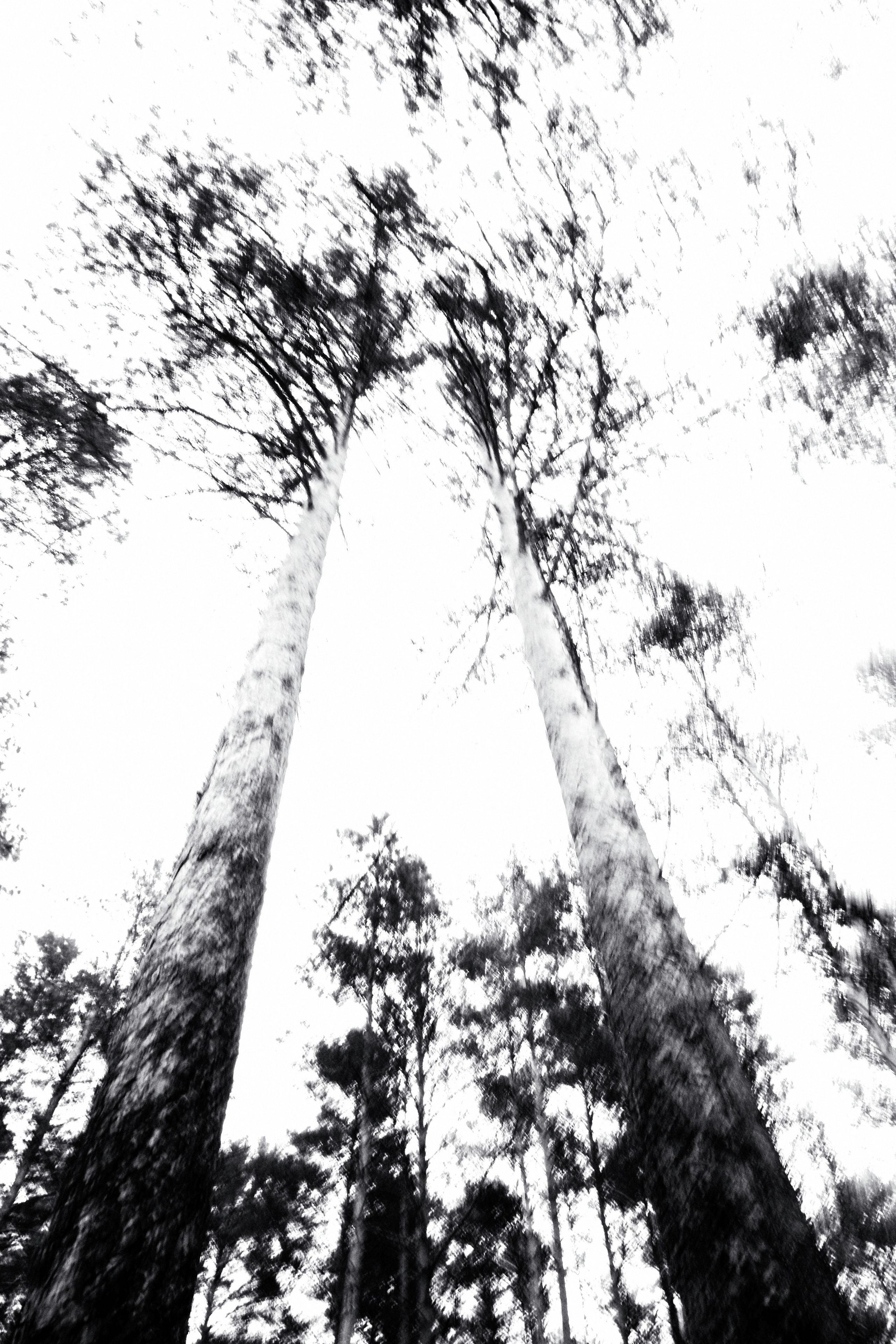 ЧБ  пейзажи (BnW landscape). Фотограф (photographer) Lischinski Vitaliy