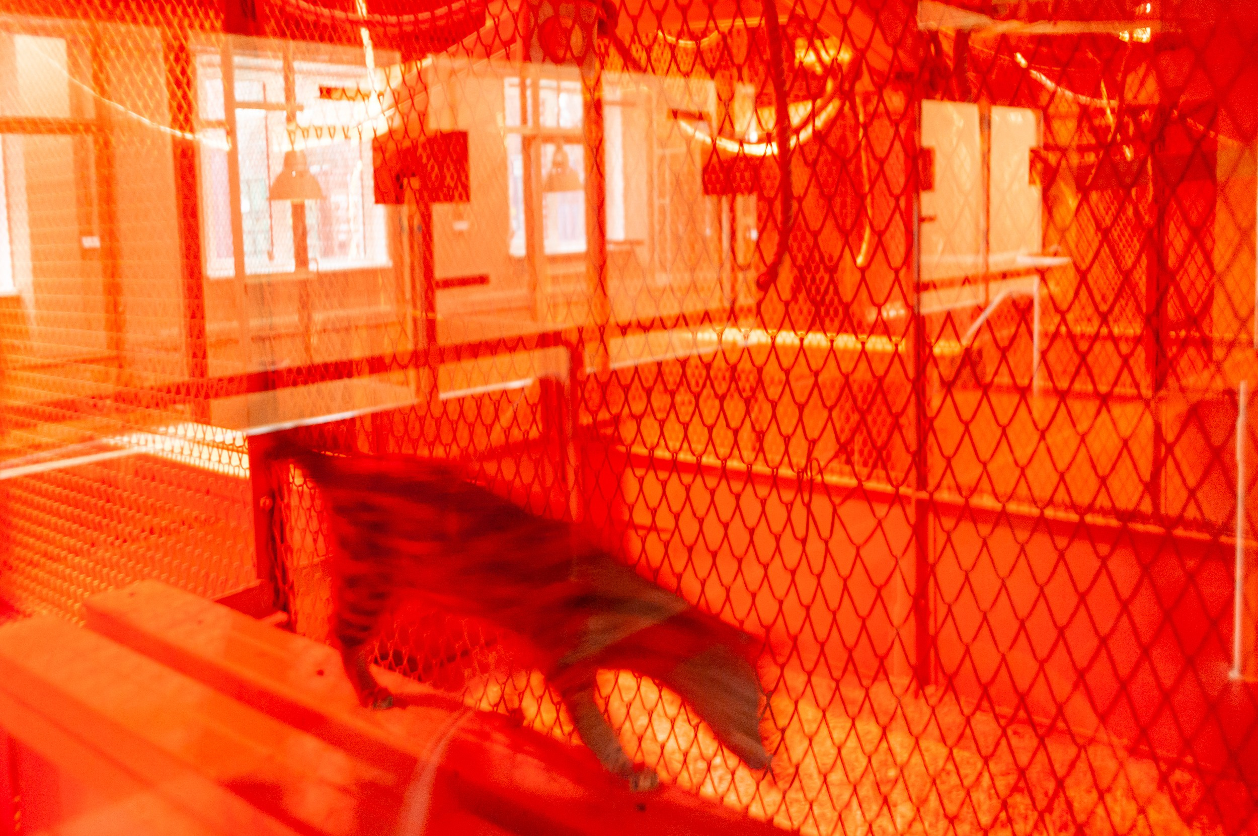 Красноярск. Nikoilay Pak