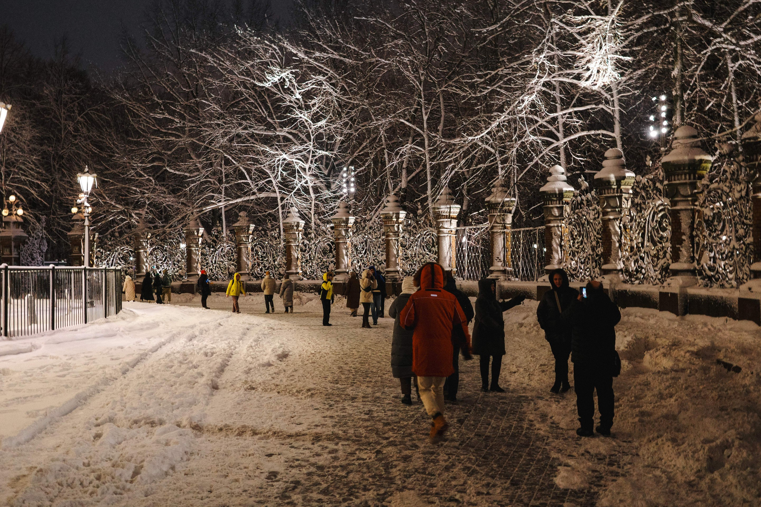 2024.12. Фотограф Алексей Алексеев