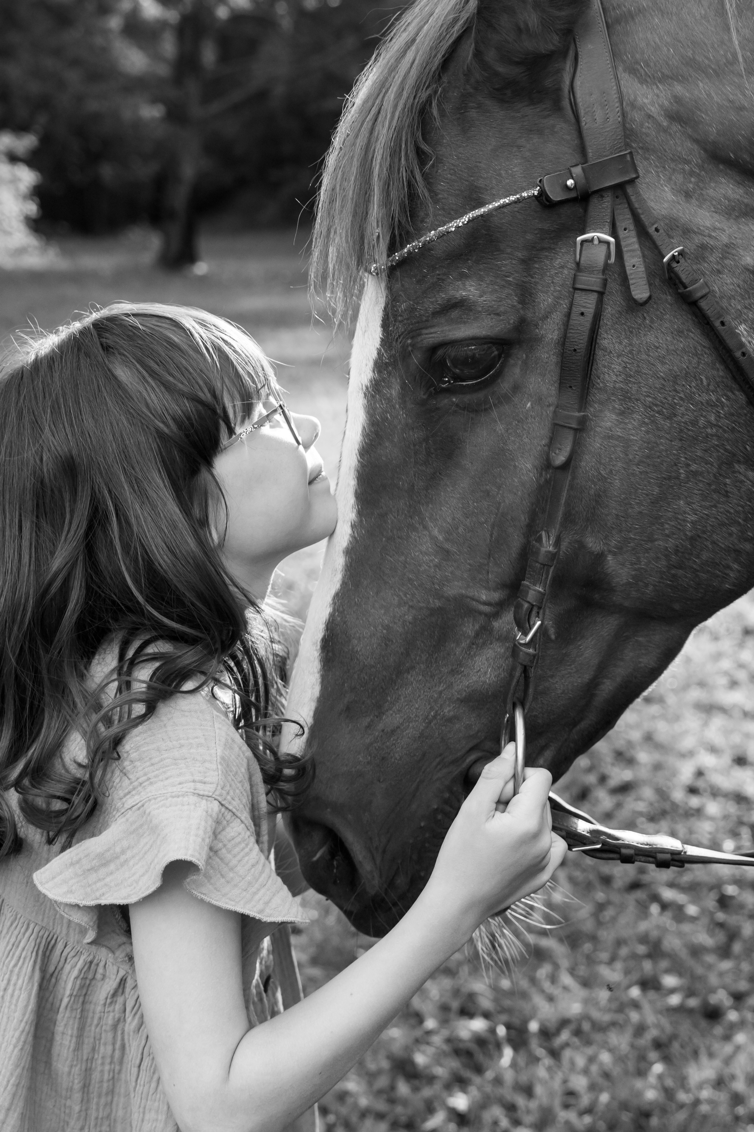 Семейная история с лошадьми. Главная