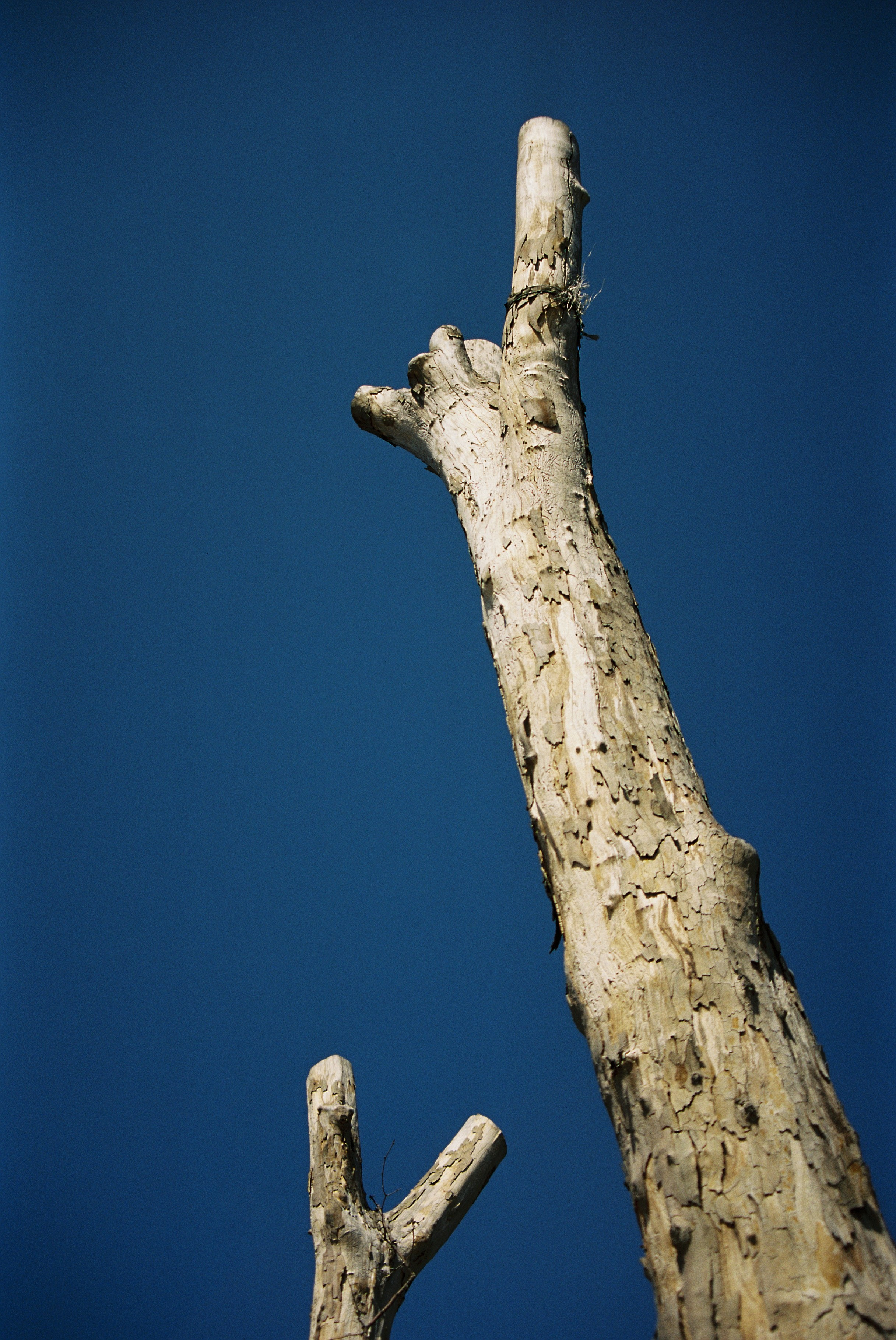 Путешествия. Anastasiia Kron