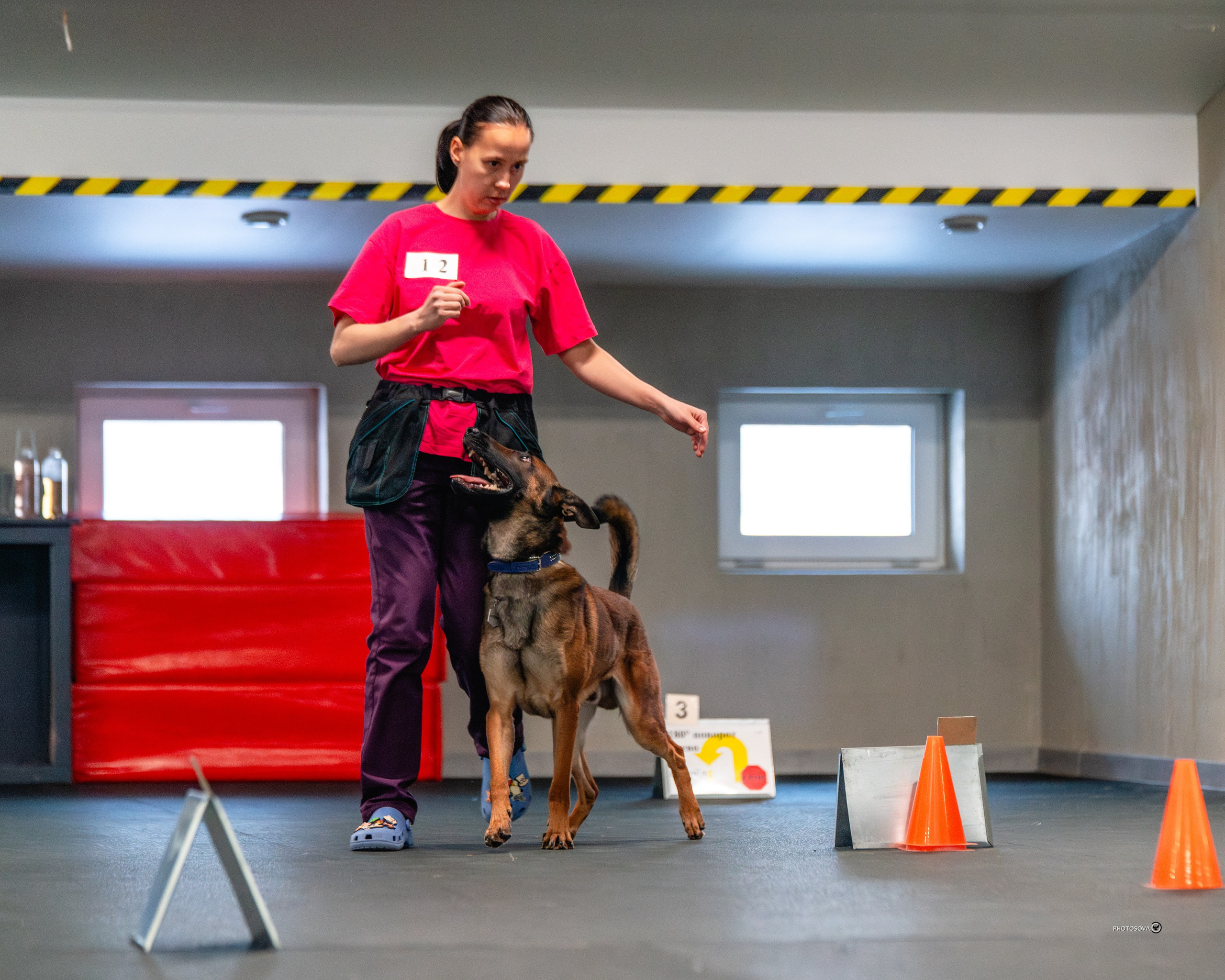ТЫ И Я (соревнования по ралли-обидиенс). Фотограф-анималист, семейный фотограф в Москве и Подмосковье. Фотосъёмка кинологических дисциплин