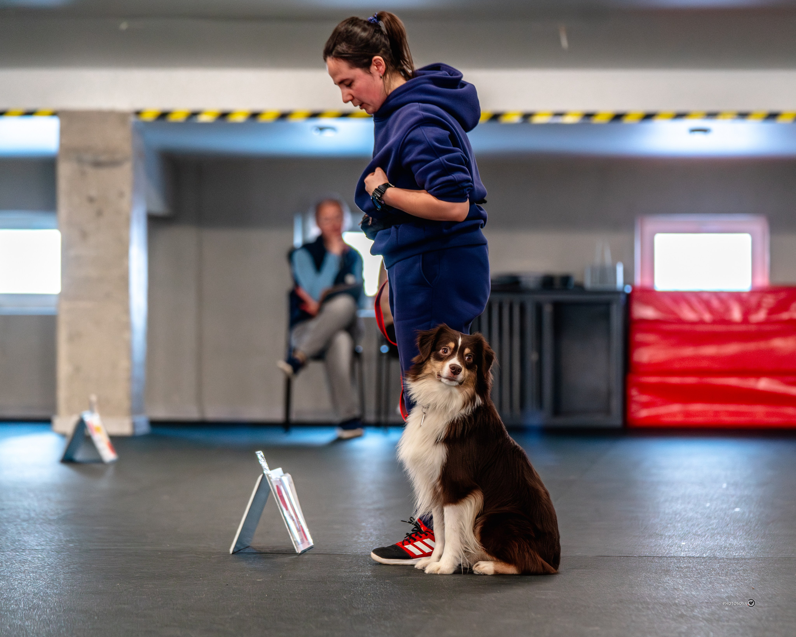 ТЫ И Я (соревнования по ралли-обидиенс). Фотограф-анималист, семейный фотограф в Москве и Подмосковье. Фотосъёмка кинологических дисциплин
