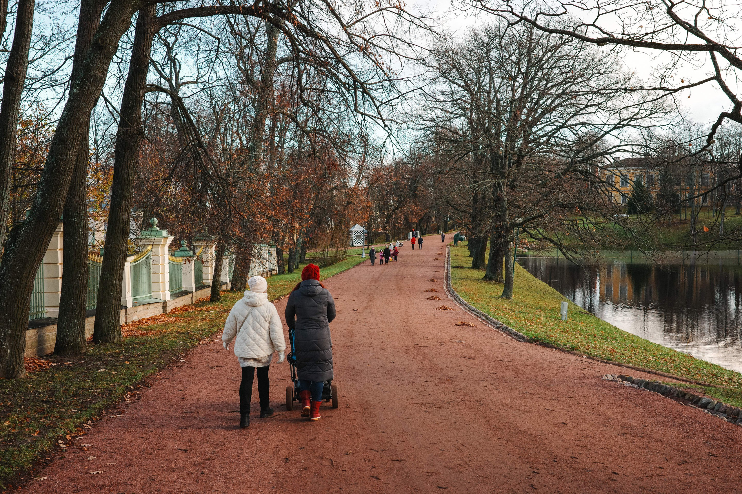 2024.11. Фотограф Алексей Алексеев