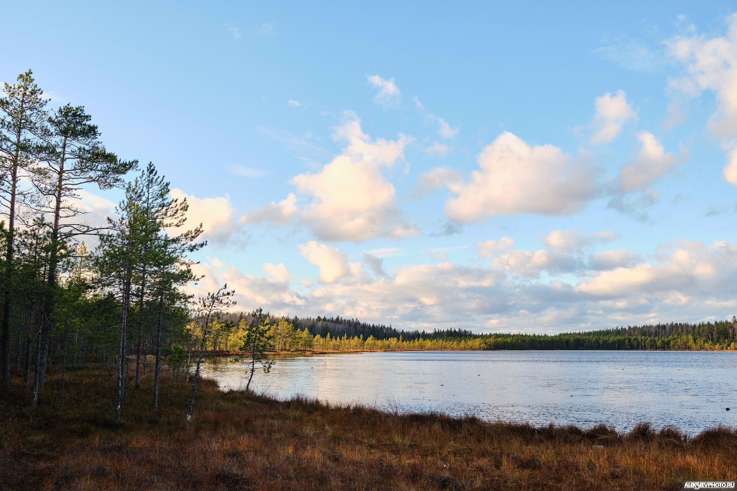 2021.10.17 — Финал чемпионата СЗФО по трофи-рейдам — 1 день. Фотограф Алексей Алексеев