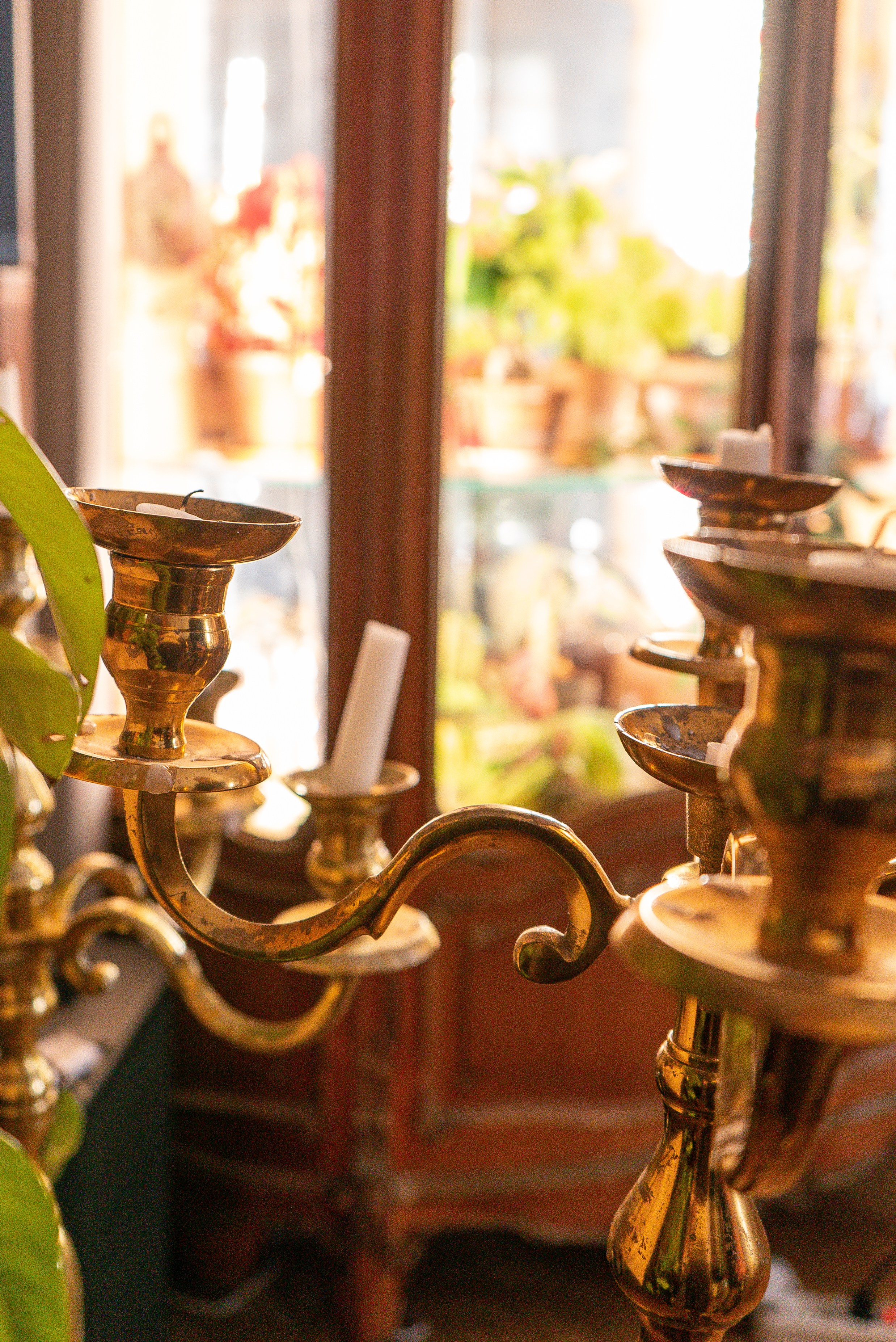 Усадьба. Александра Куликова фотограф, Москва