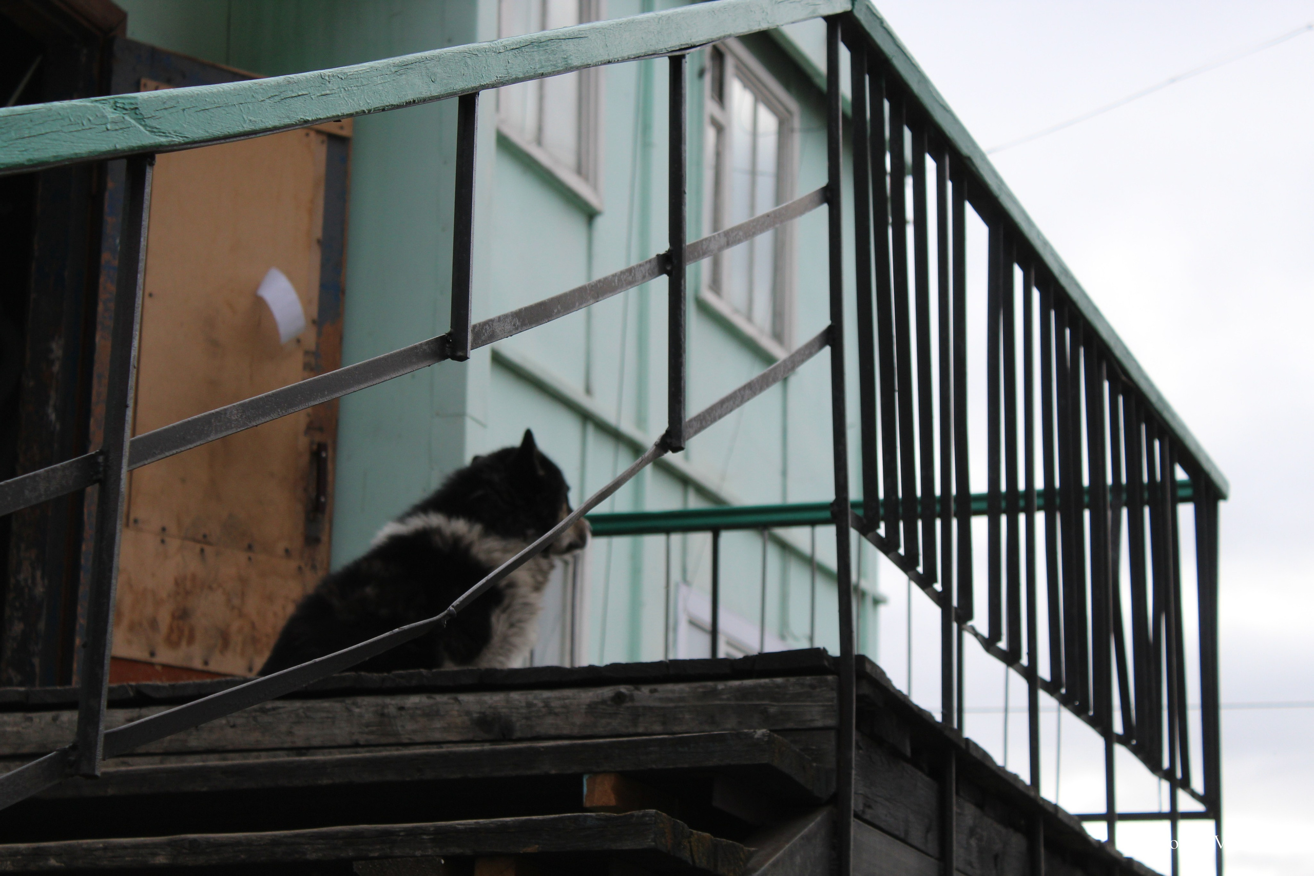 Хатанга и Русское Географическое общество 2024. Хорошая экспедиция