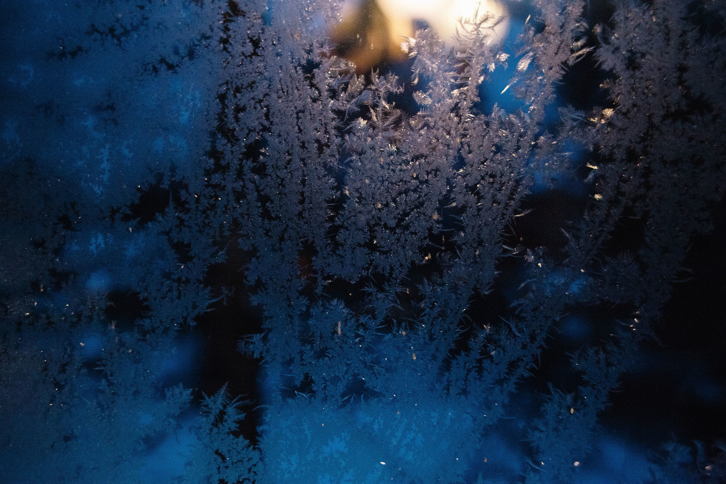 Белоостров. Семейный и свадебный фотограф в Майкопе Михаил Мартиросян