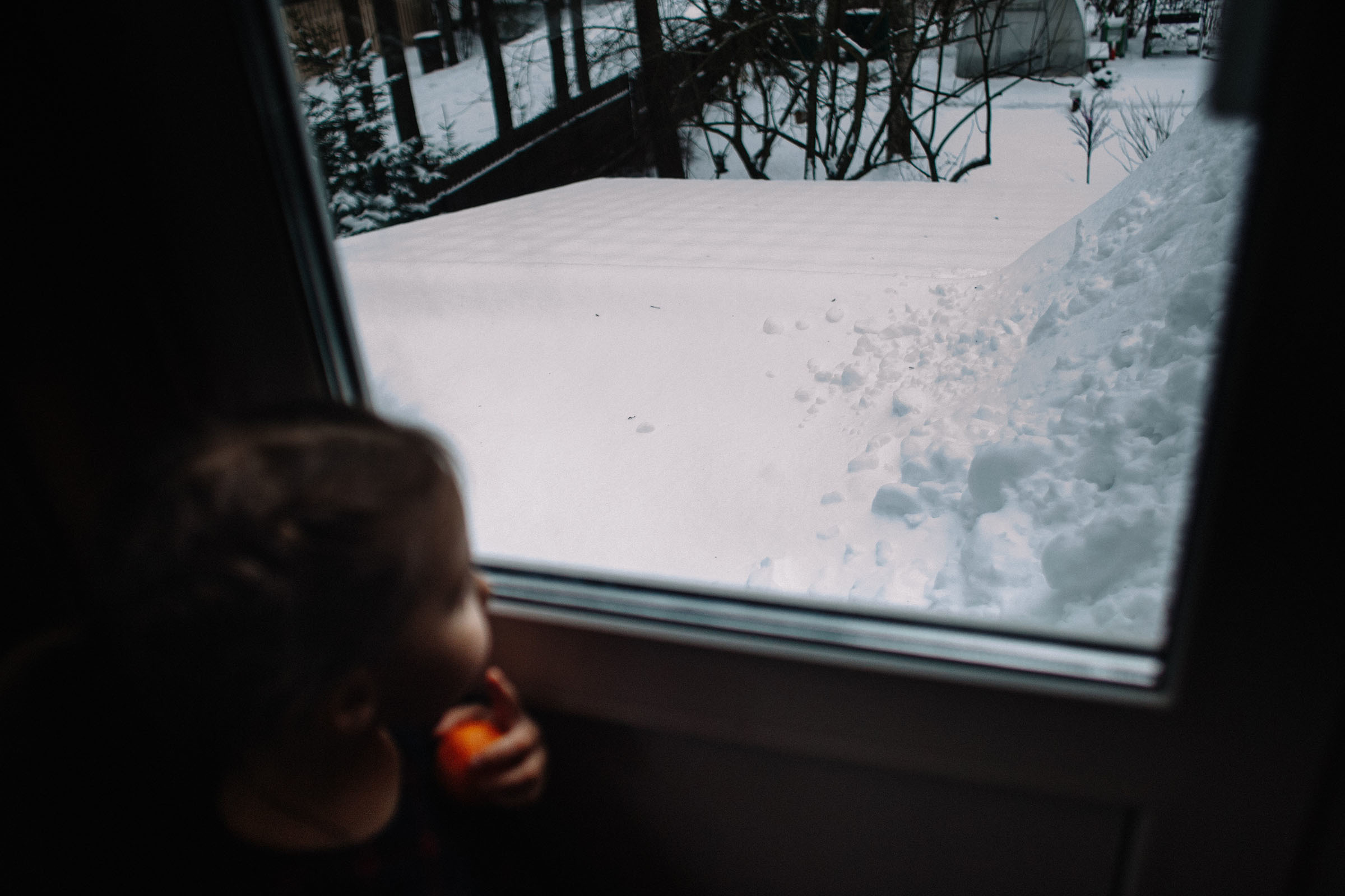 Белоостров. Семейный и свадебный фотограф в Майкопе Михаил Мартиросян