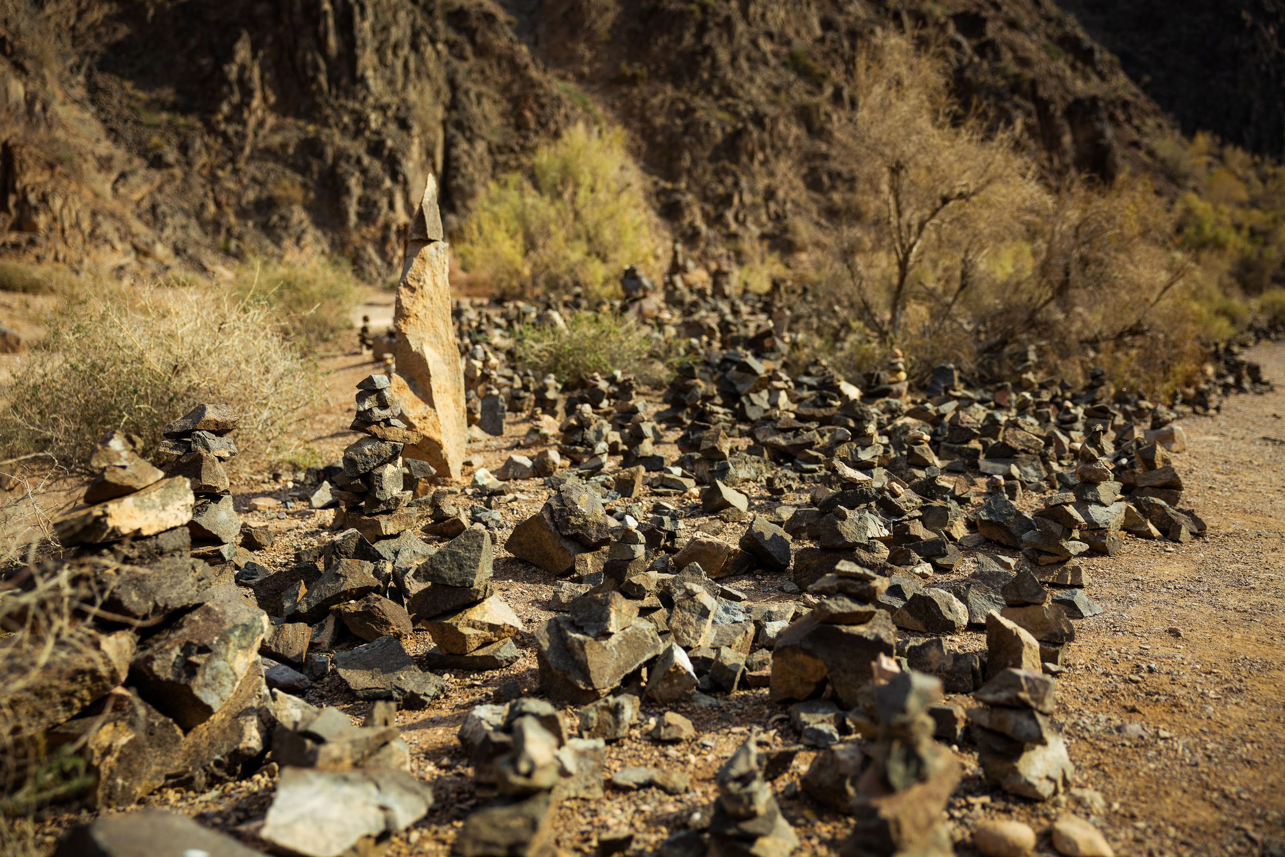 Казахстан (осень 2024). Фотограф Виноградов Константин