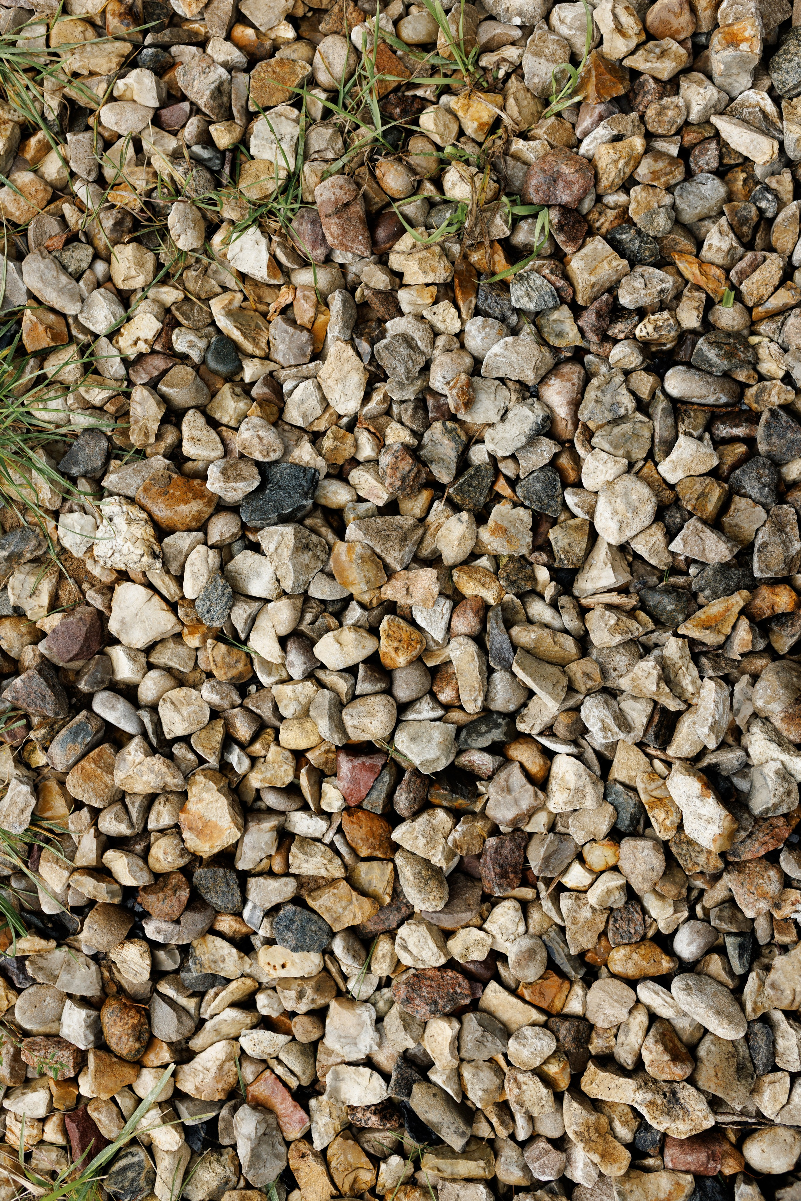 Марина & Лёша. Свадебный и семейный фотограф в Твери, Москве, Санкт-Петербурге