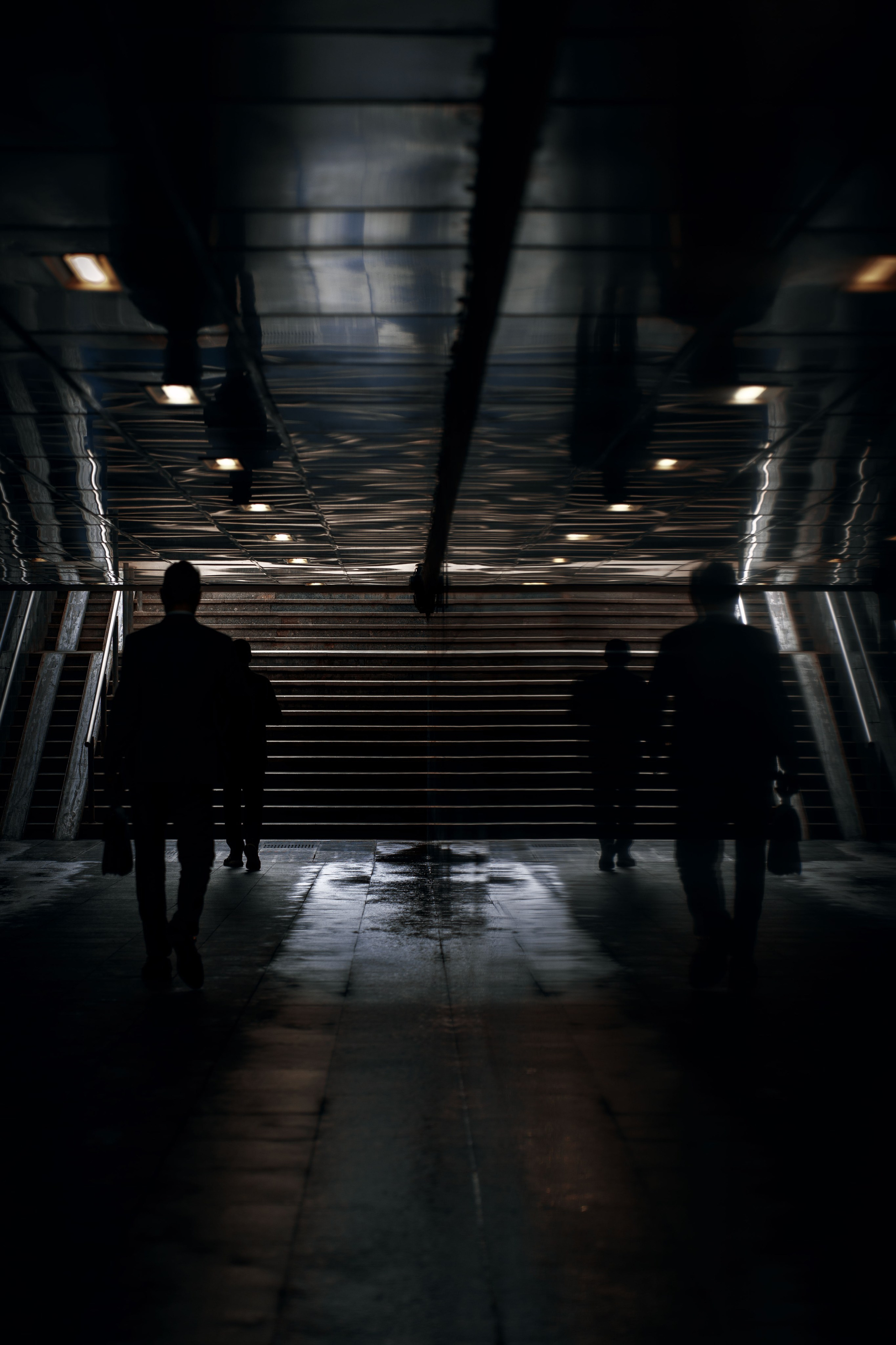 Жизнь в цветах. Алексей Гаас — фотограф