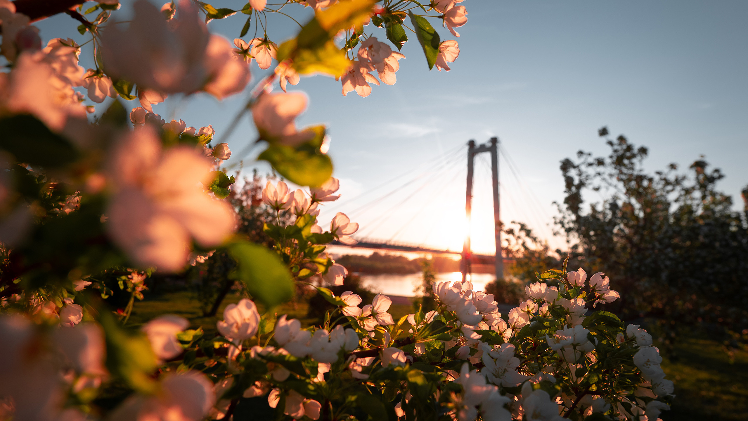 Репортажный фотограф Красноярск Алекс Чампакхам