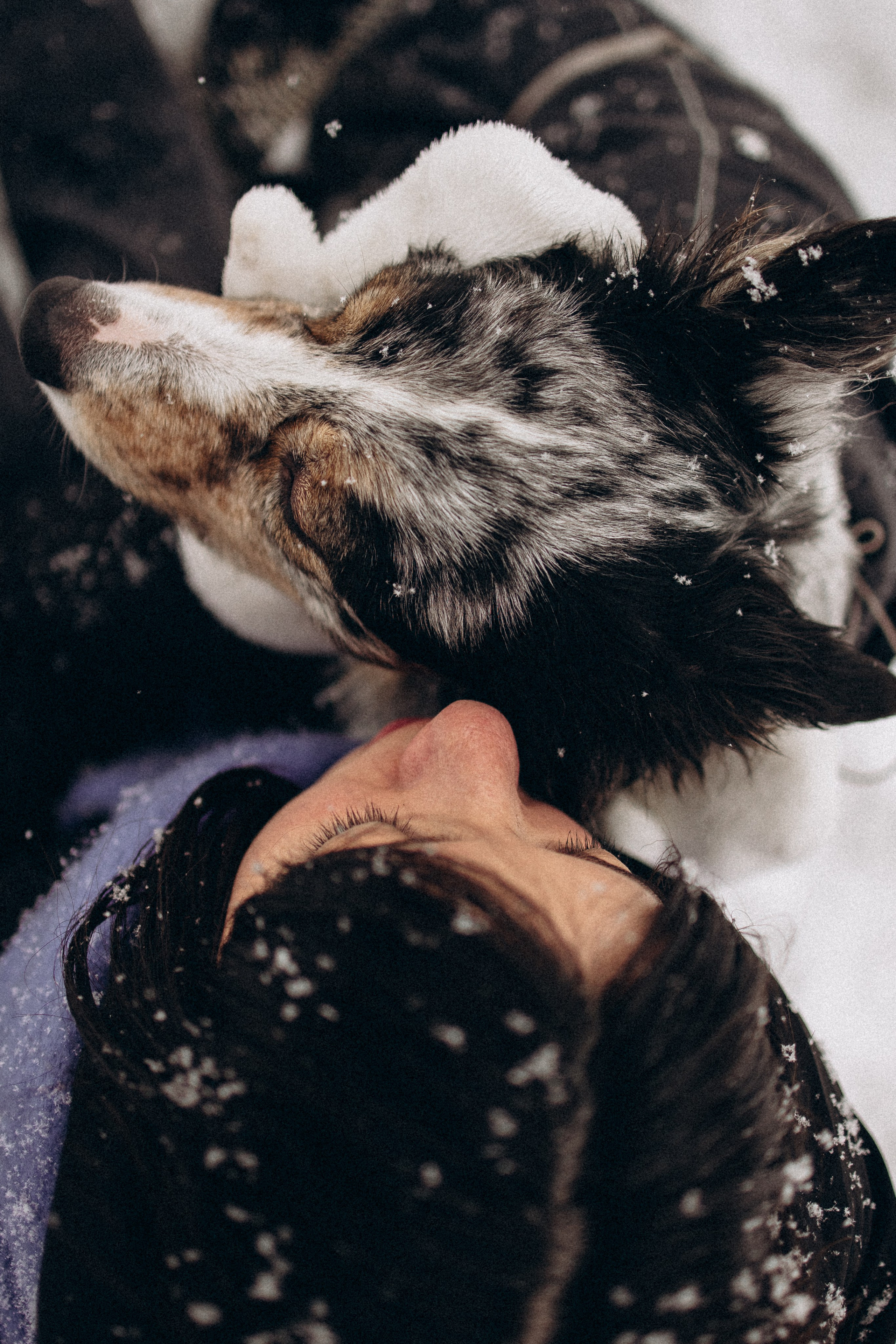 Настя и Тор. Фотораф — анималист Мария Шистка