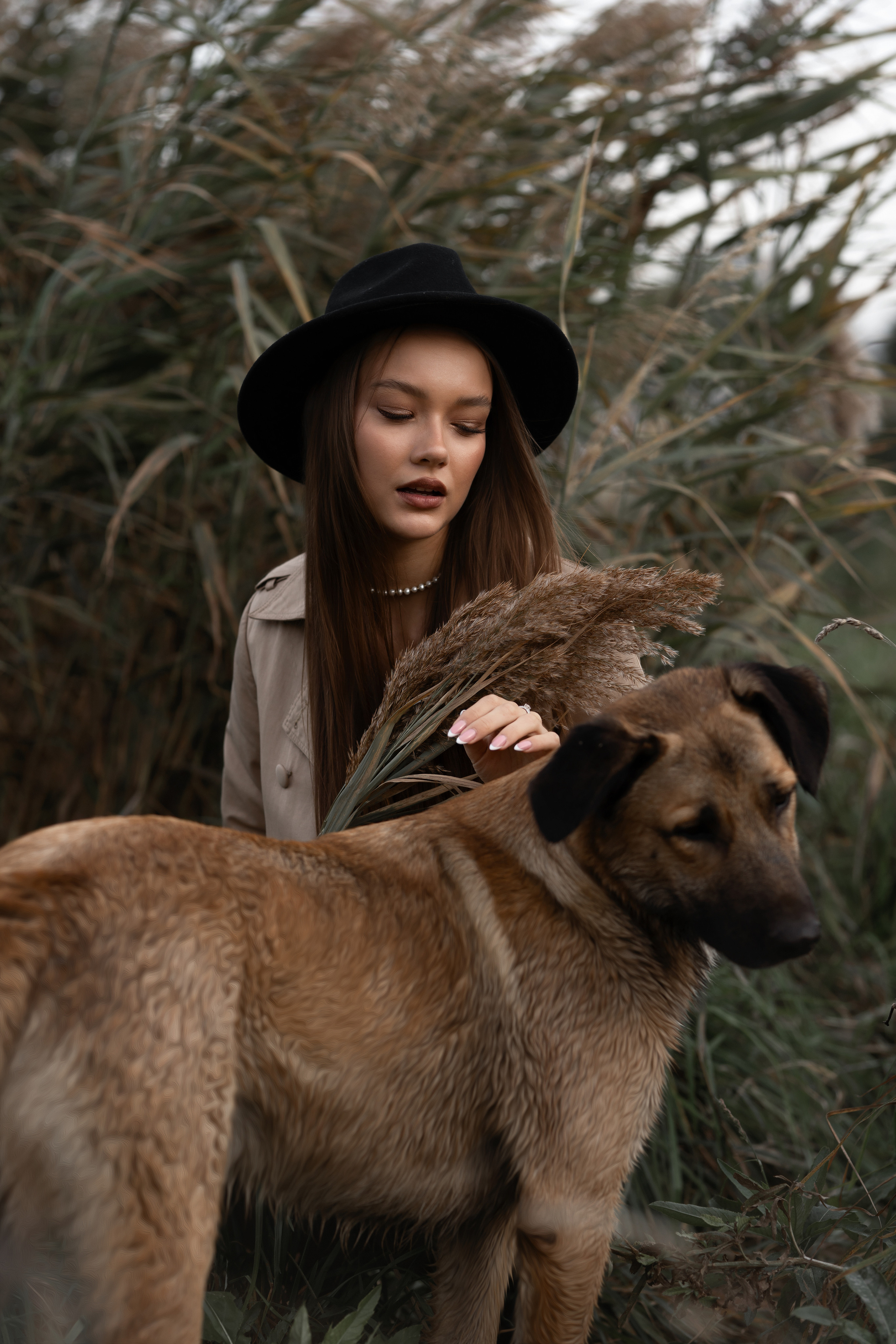 Нежная осень,  Дания. Фотограф  Набережные Челны Эдгар Сергеев