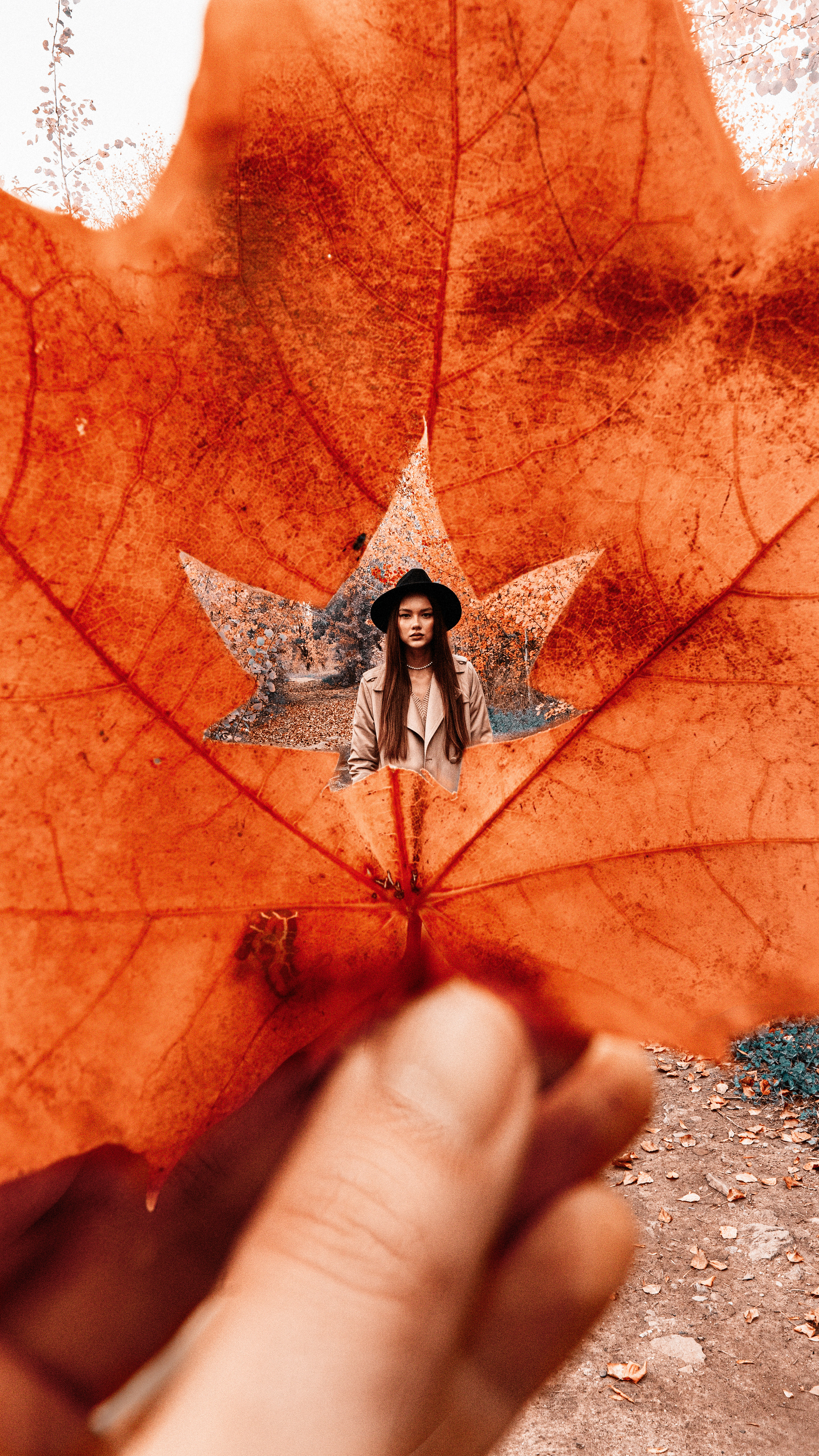 Дания, осенний фотосет. Фотограф  Набережные Челны Эдгар Сергеев