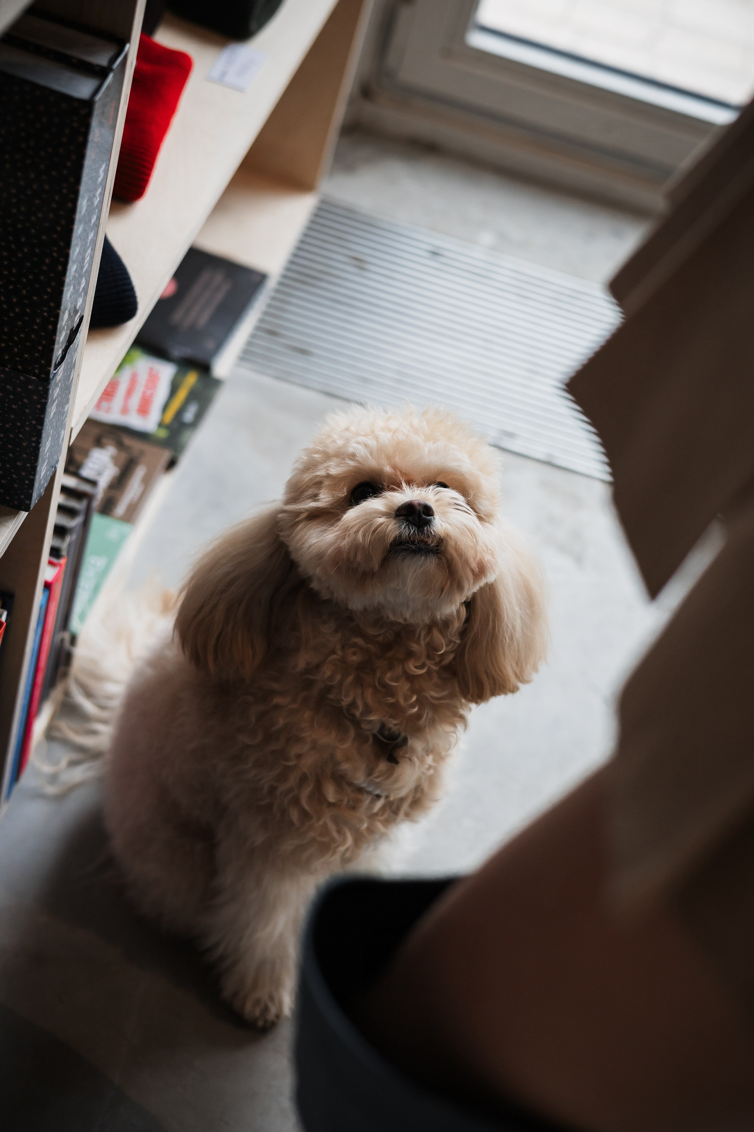 Алина — прогулка