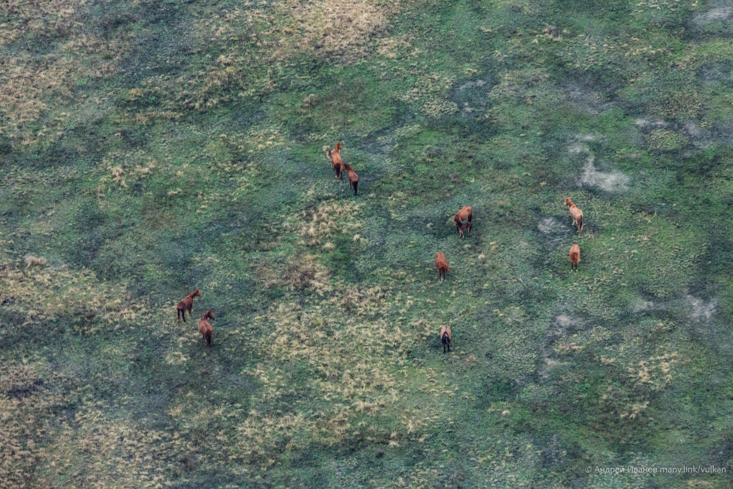 Перелёт на Байконур в 2026 г на самолётах АОН. Фотоальбом показывающий увлекательный мир авиации и мир медведей Андрея Иванова