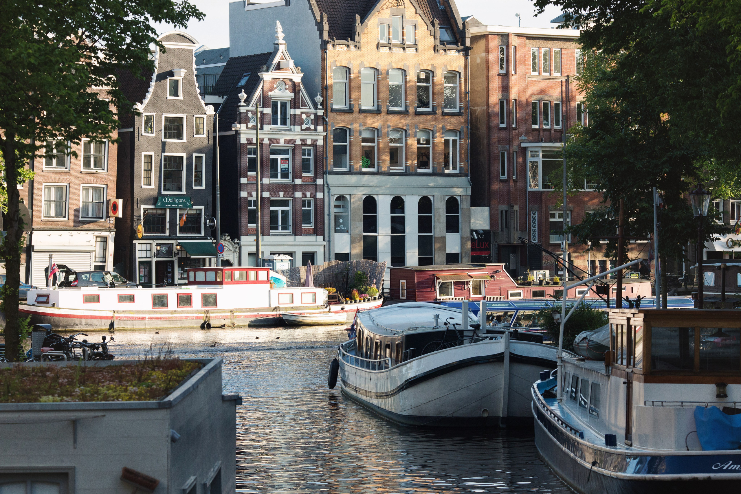 А & А. Свадебный, семейный и индивидуальный фотограф в Зеленограде и Москве Ирина Костенко