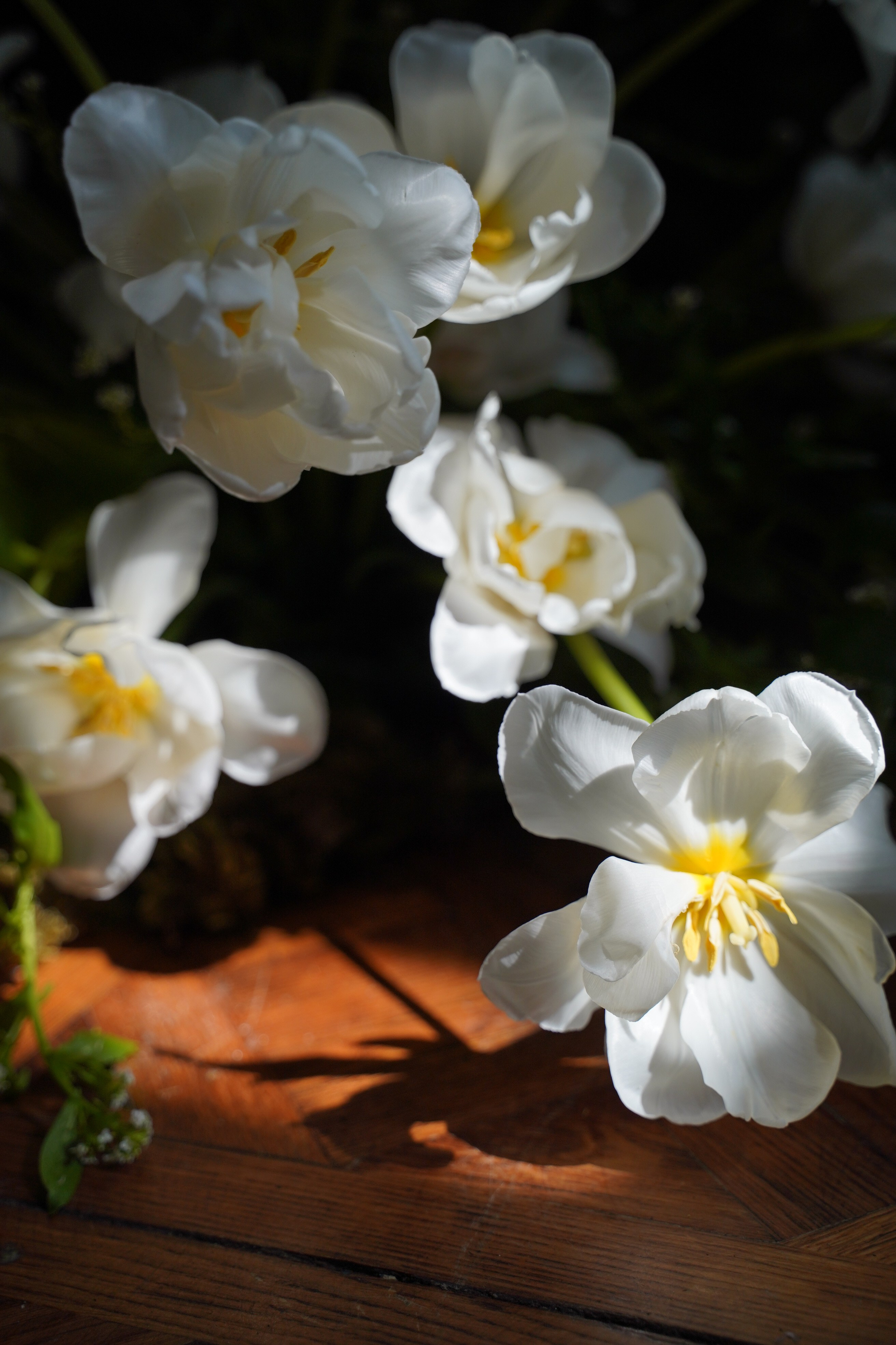 The Secret Garden. Портретный фотограф в Краснодаре Валерия Матирная