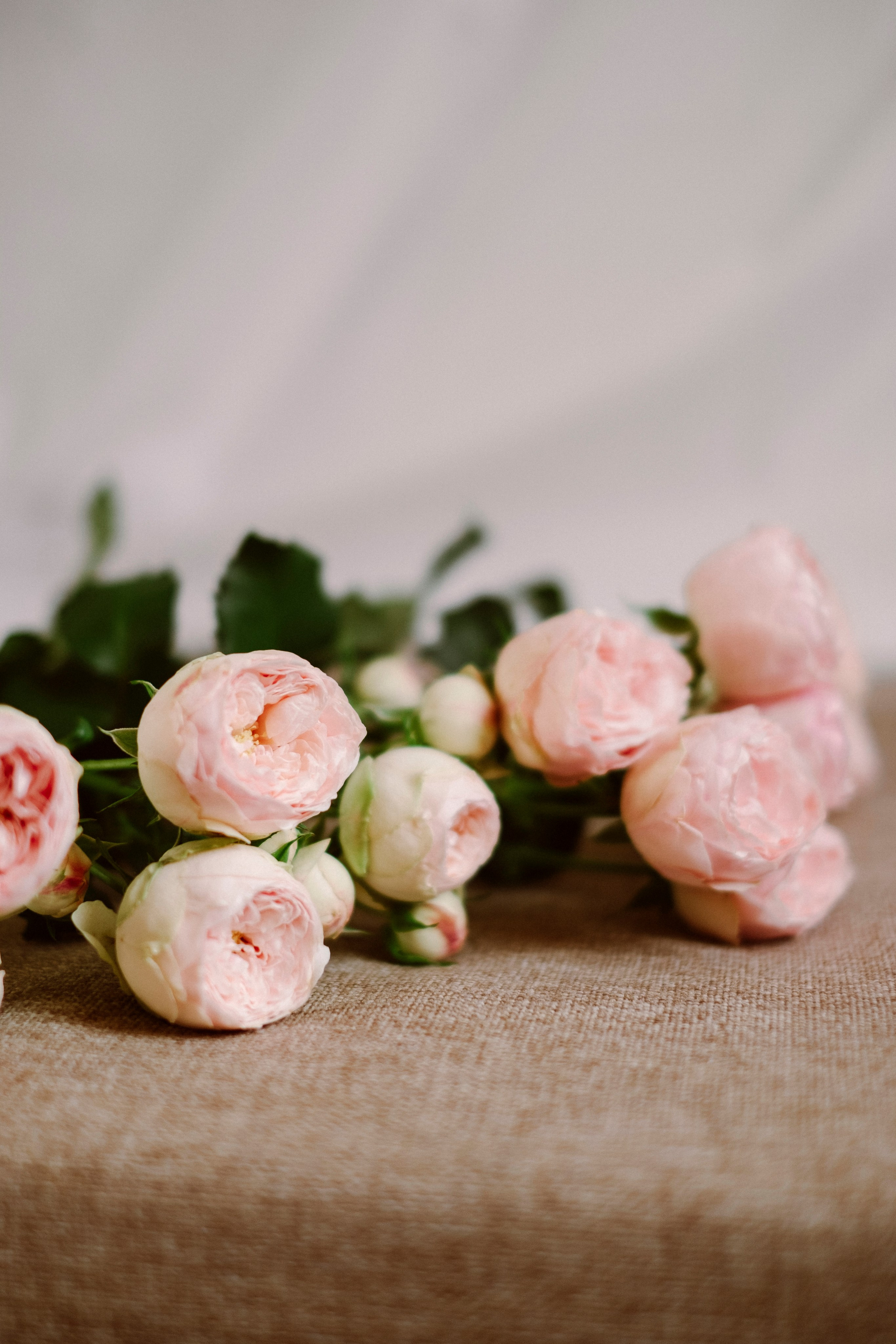 Марина. Семейный и портретный фотограф в Санкт-Петербурге Маргарита Кряклина