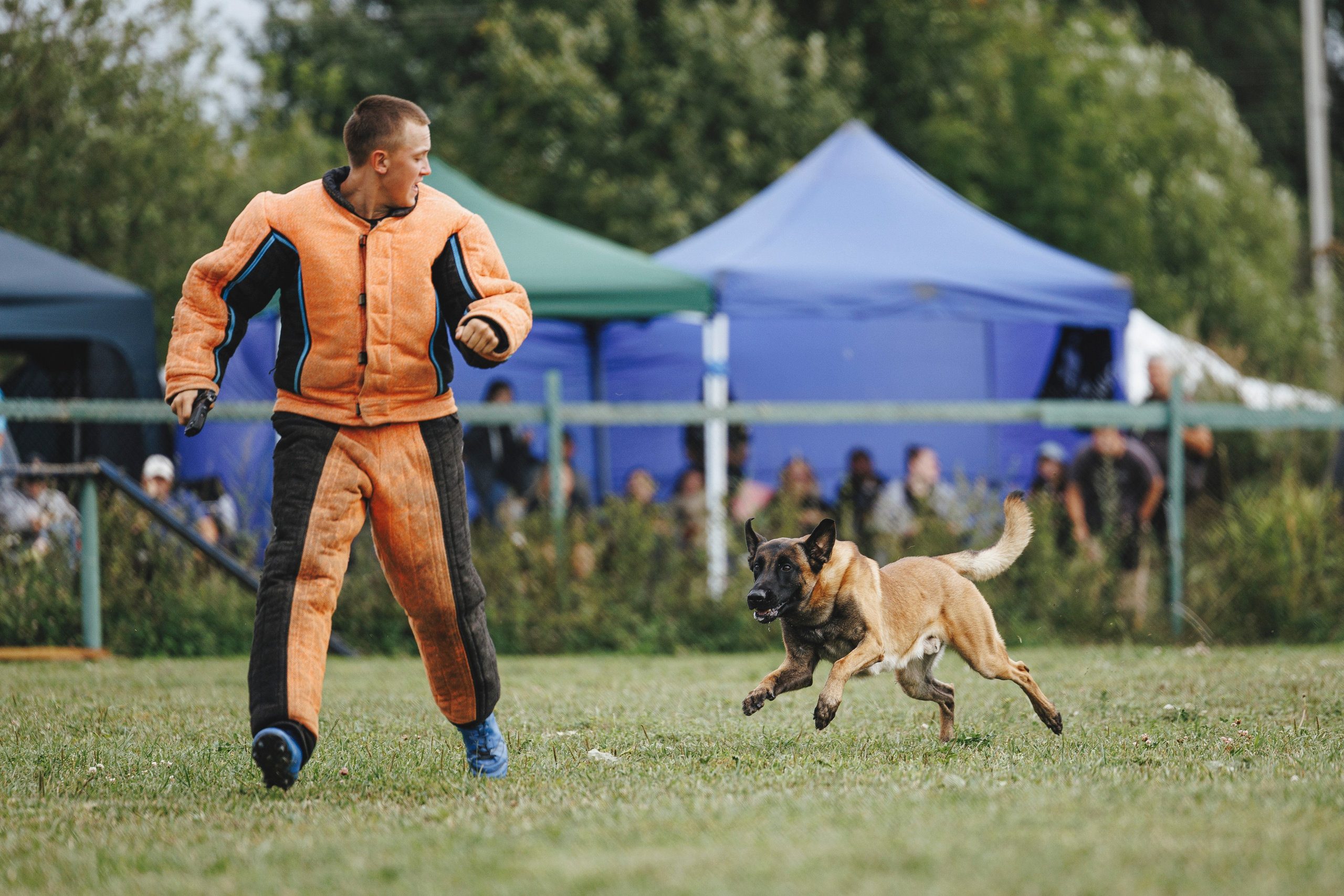 08.08.25-10.08.25 ЧР по мондьорингу г. Вологда. Фотограф-анималист Анна Маринич