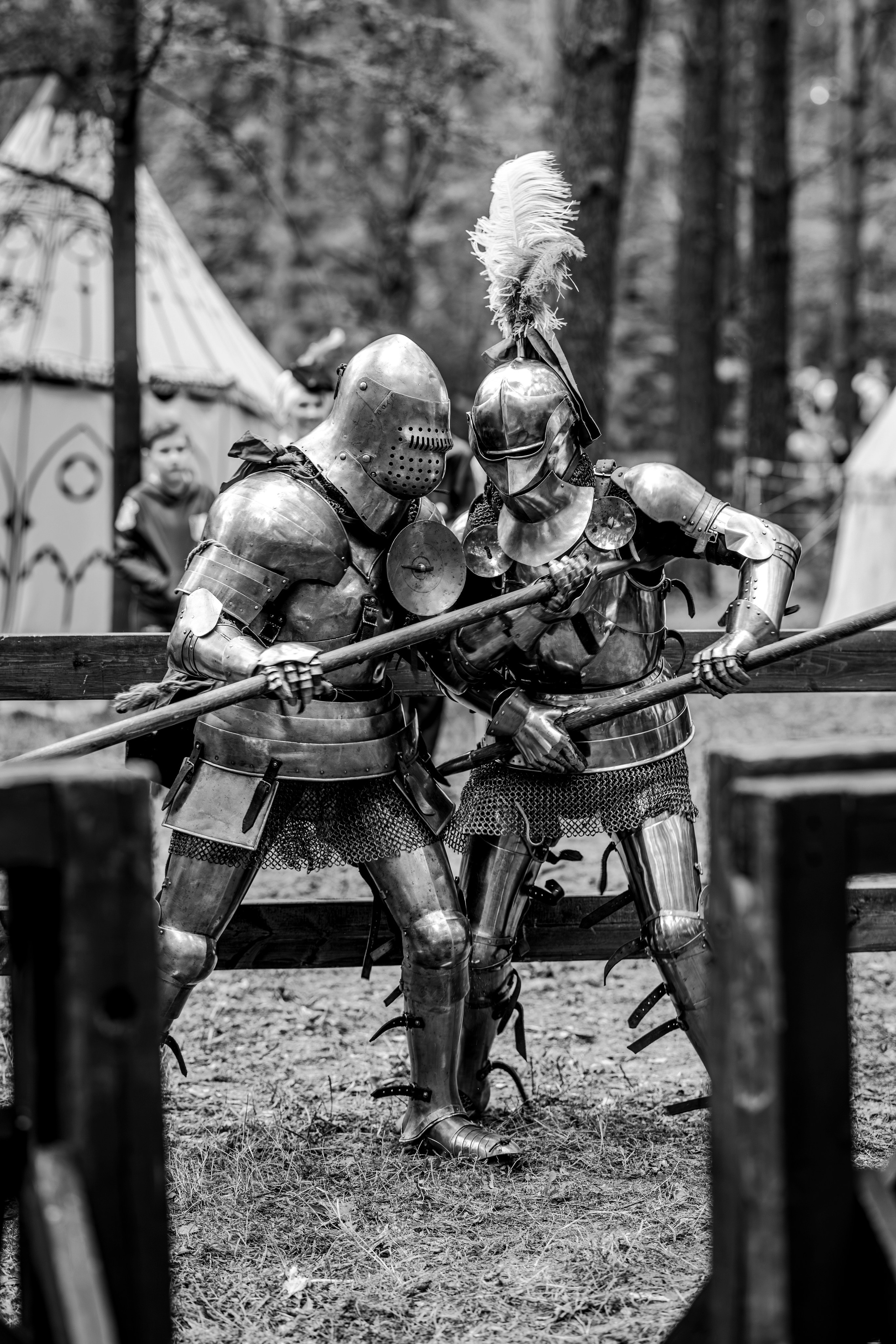 Княжий двор 2024. Bertran Ordo