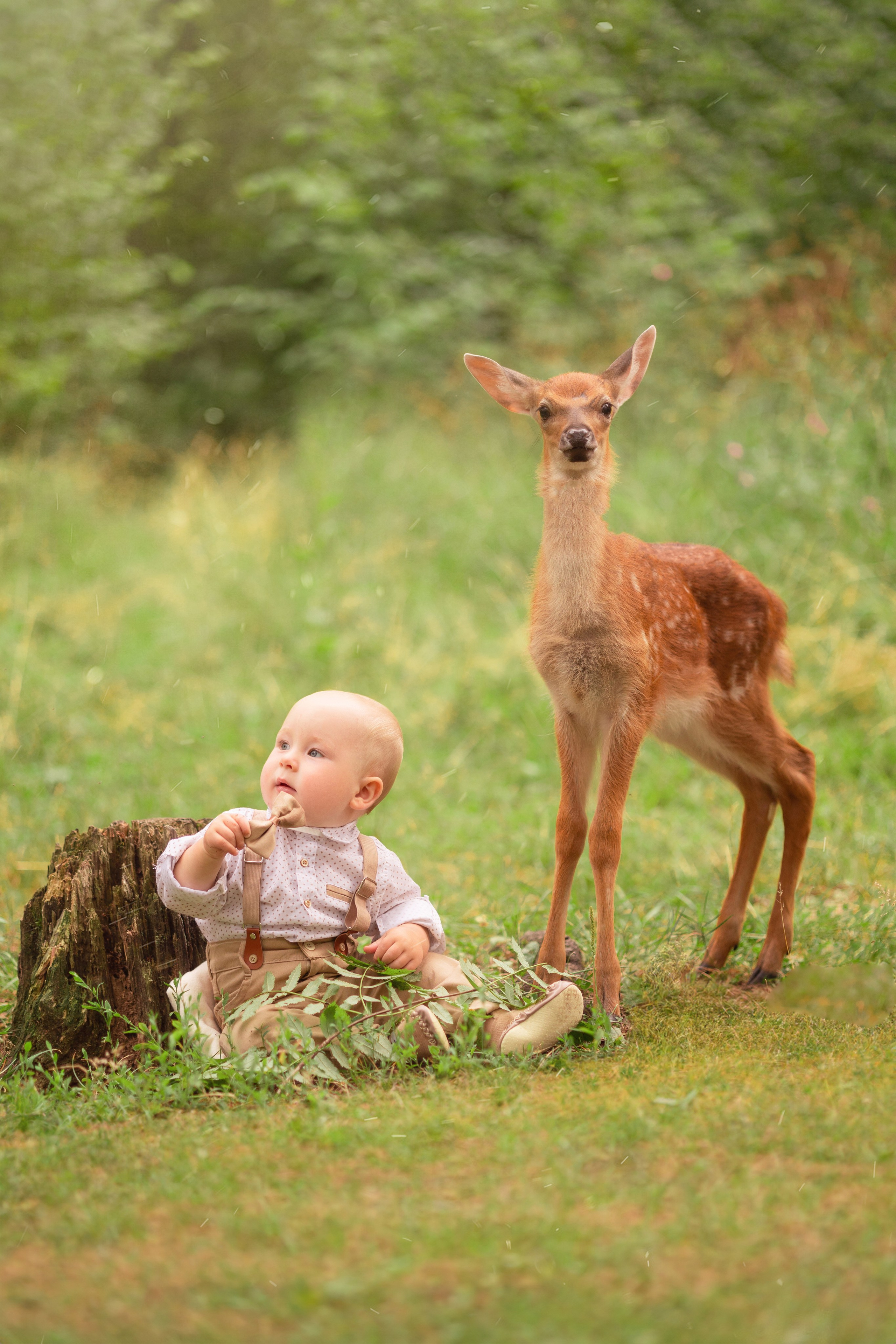 Анастасия. СЕМЕЙНАЯ ФОТОСЕССИЯ МОСКВА