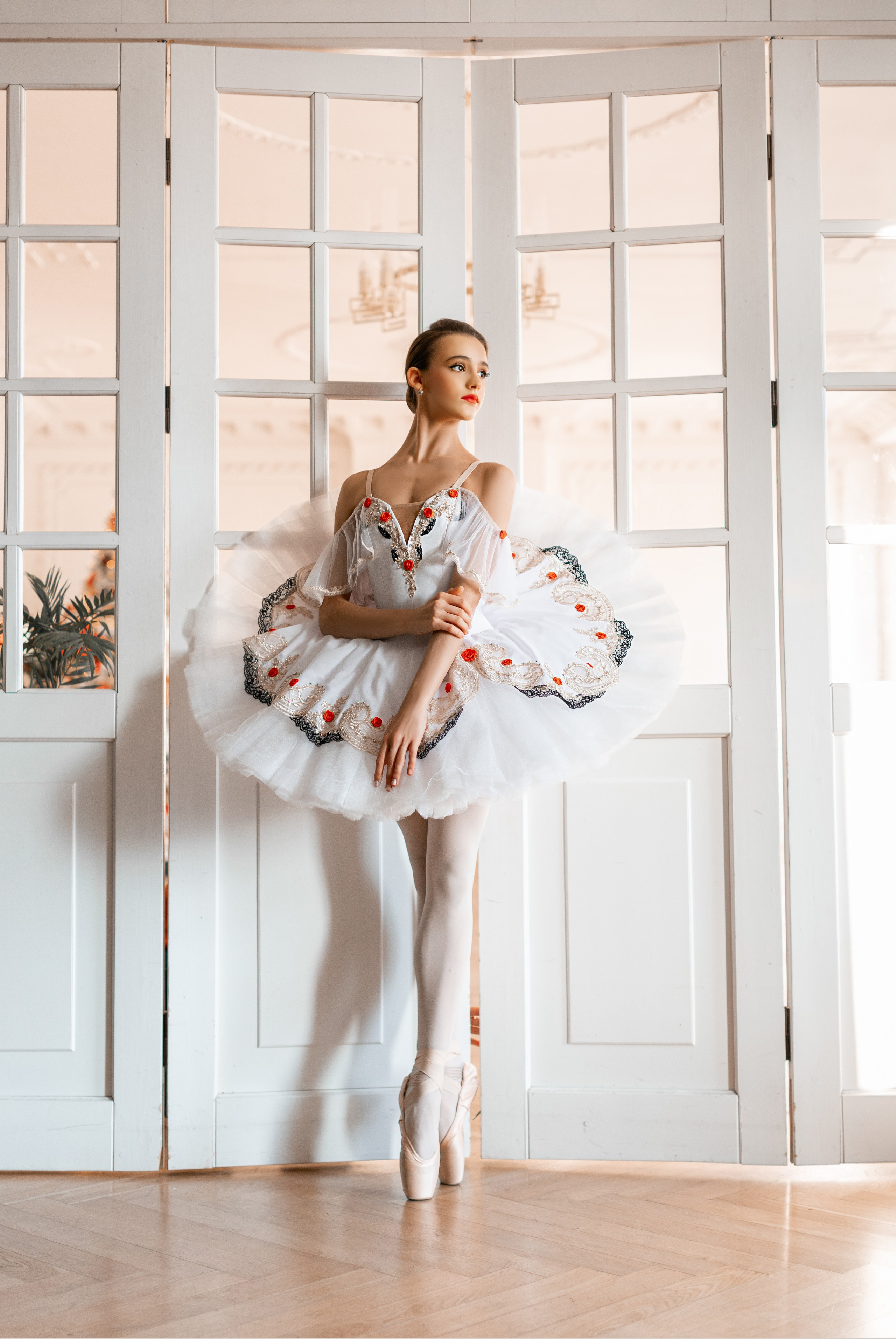 Балетная съёмка в интерьере. Балетный фотограф Алина Ханько — Душа Балета