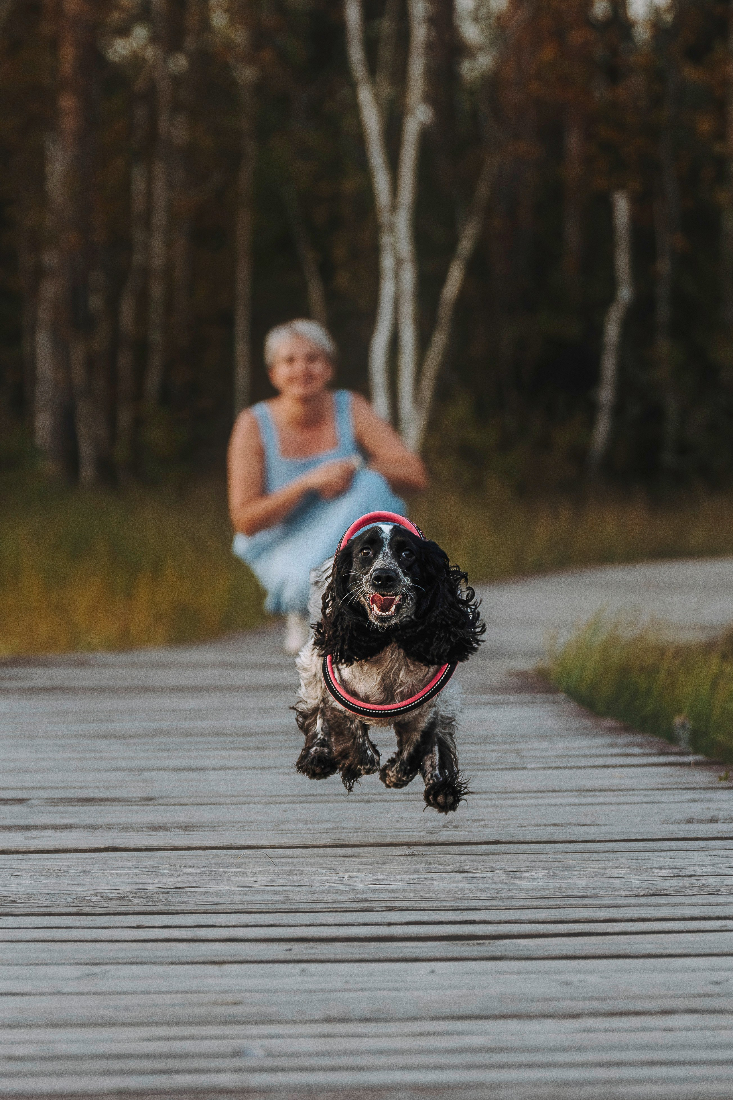 Аня и Тея. Фотограф анималист в Спб недорого Олеся Майорова