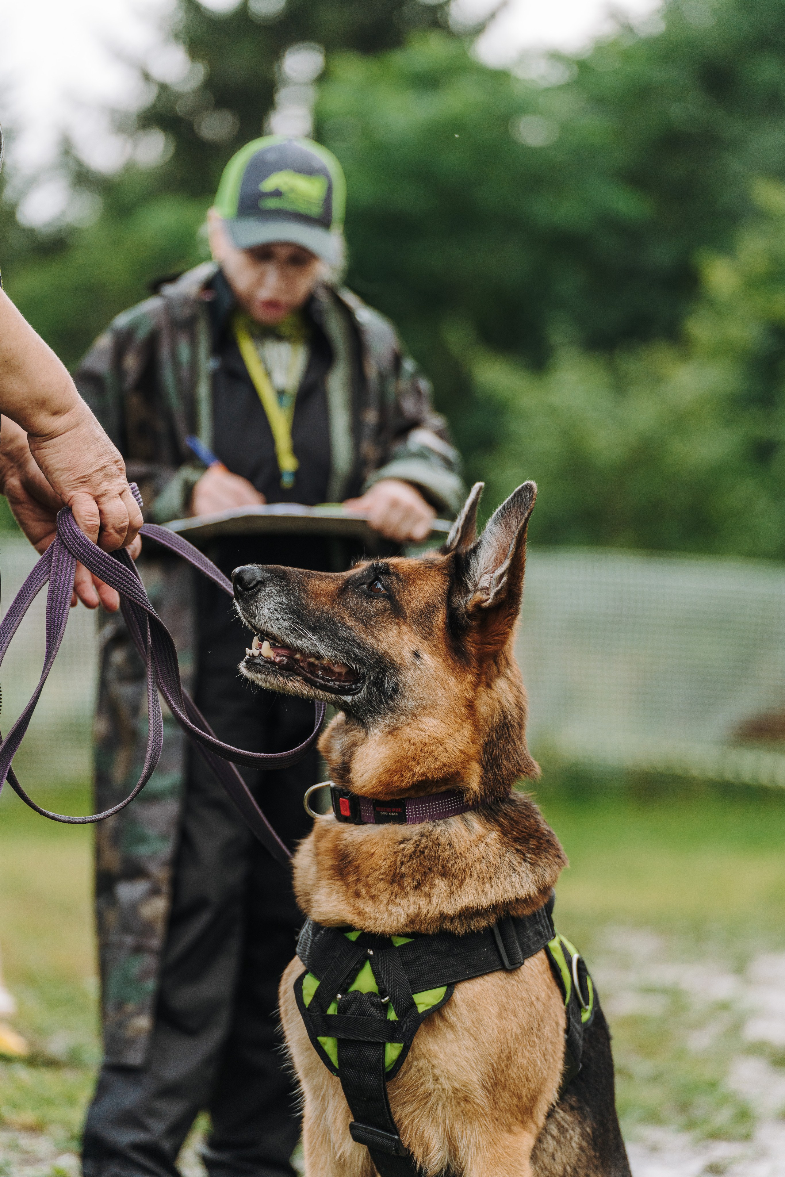Соревнования по ноузворку в Новожилово. Фотограф анималист в Спб недорого Олеся Майорова