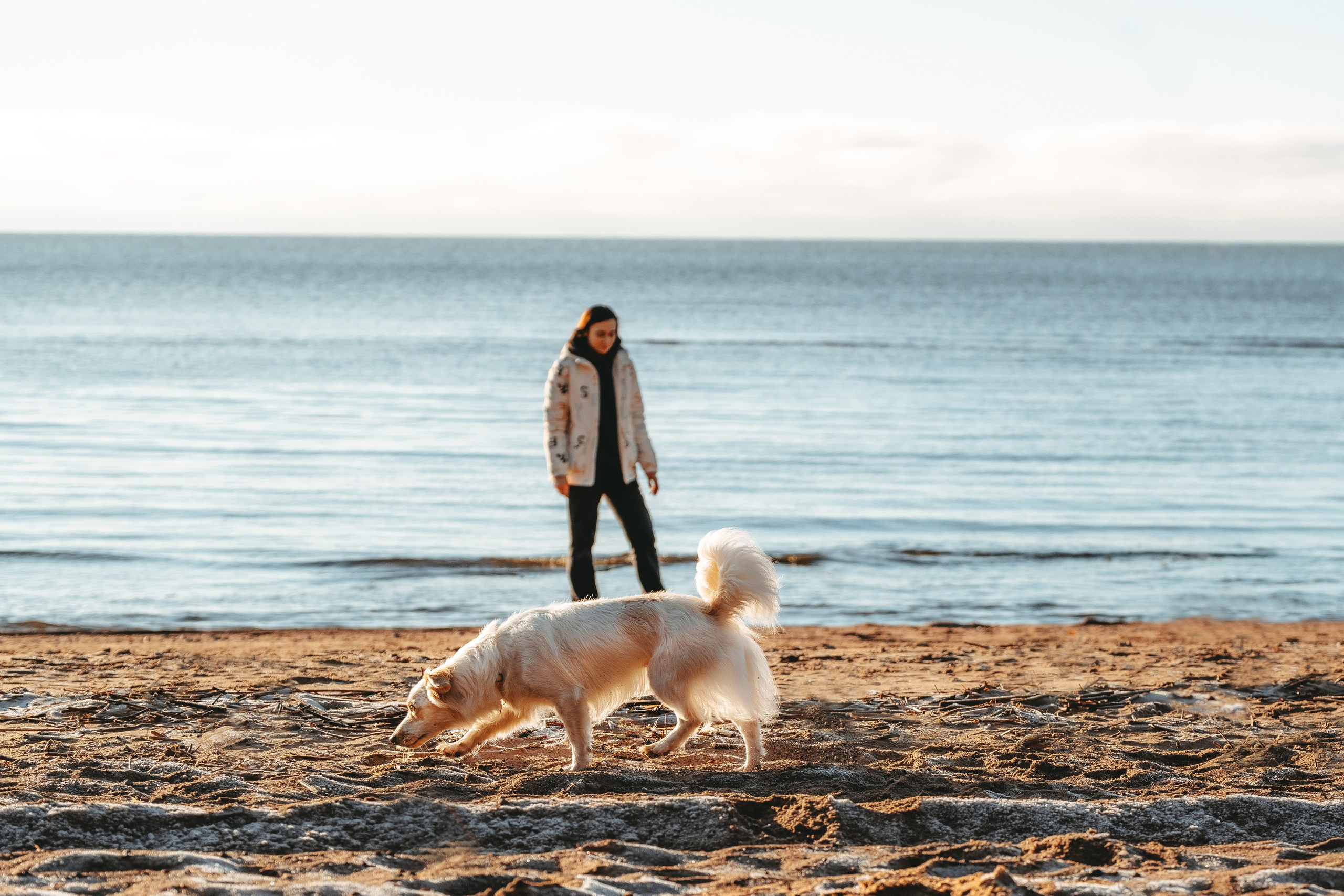 Бруно, Алена и Антон. Фотограф анималист в Спб недорого Олеся Майорова