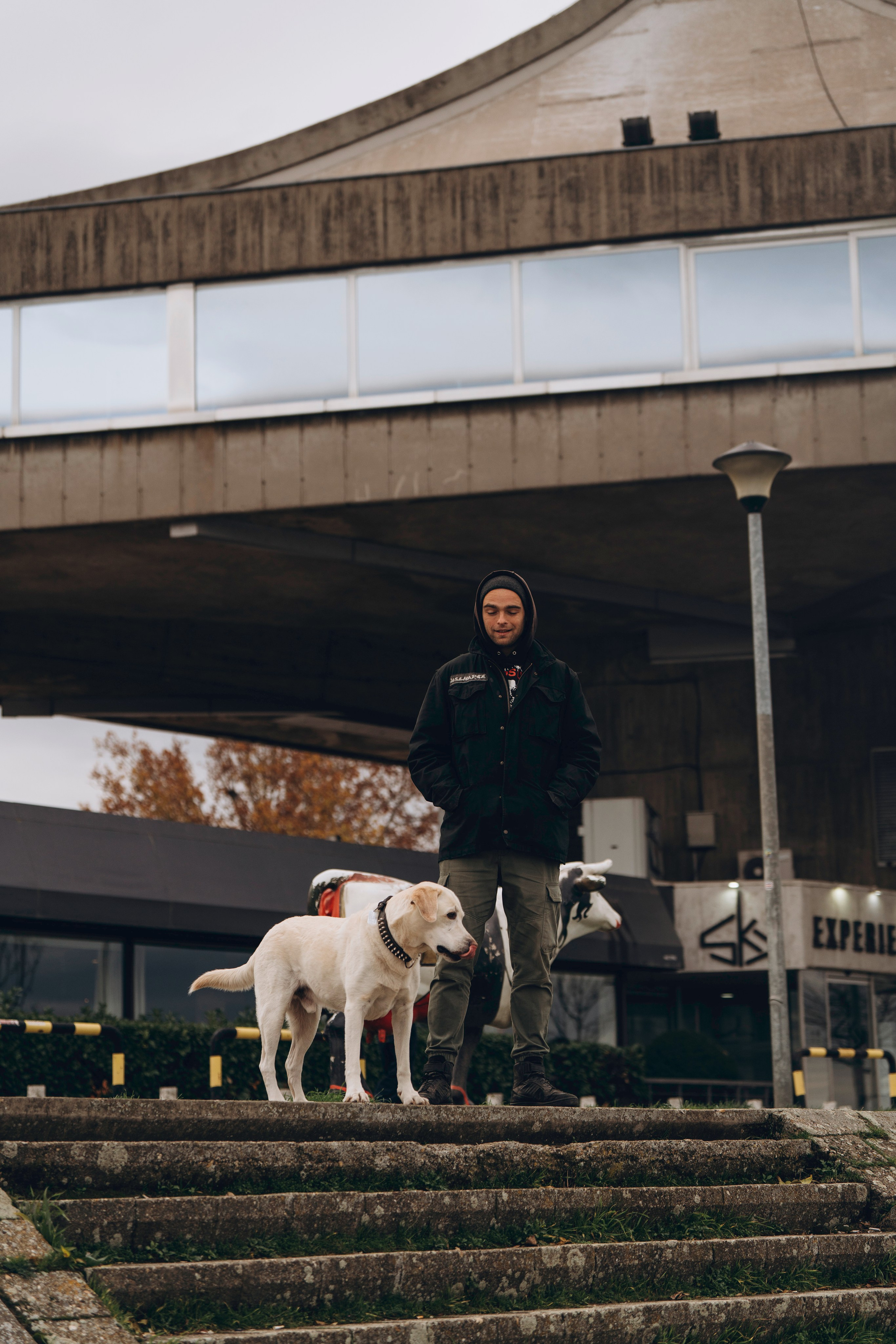 Вати, Лена и Леван. Фотограф анималист в Спб недорого Олеся Майорова
