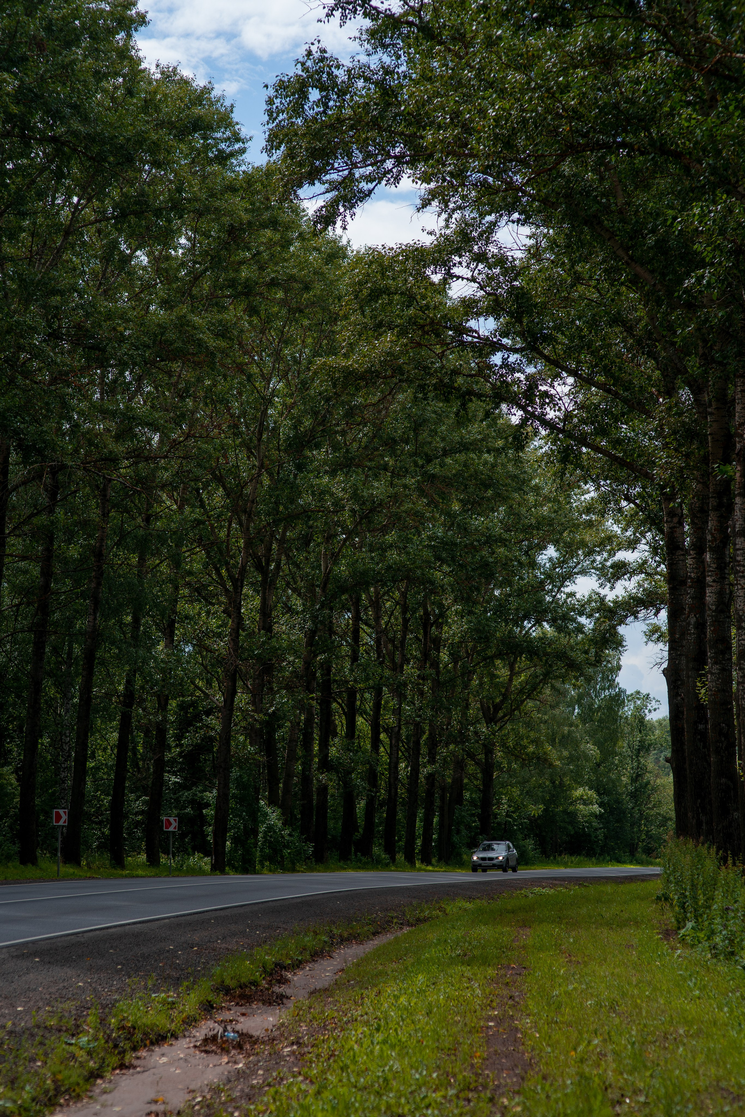 ЦВЕТНЫЕ ФОТОГРАФИИ. Никита Аничкин фото и видео оператор из России