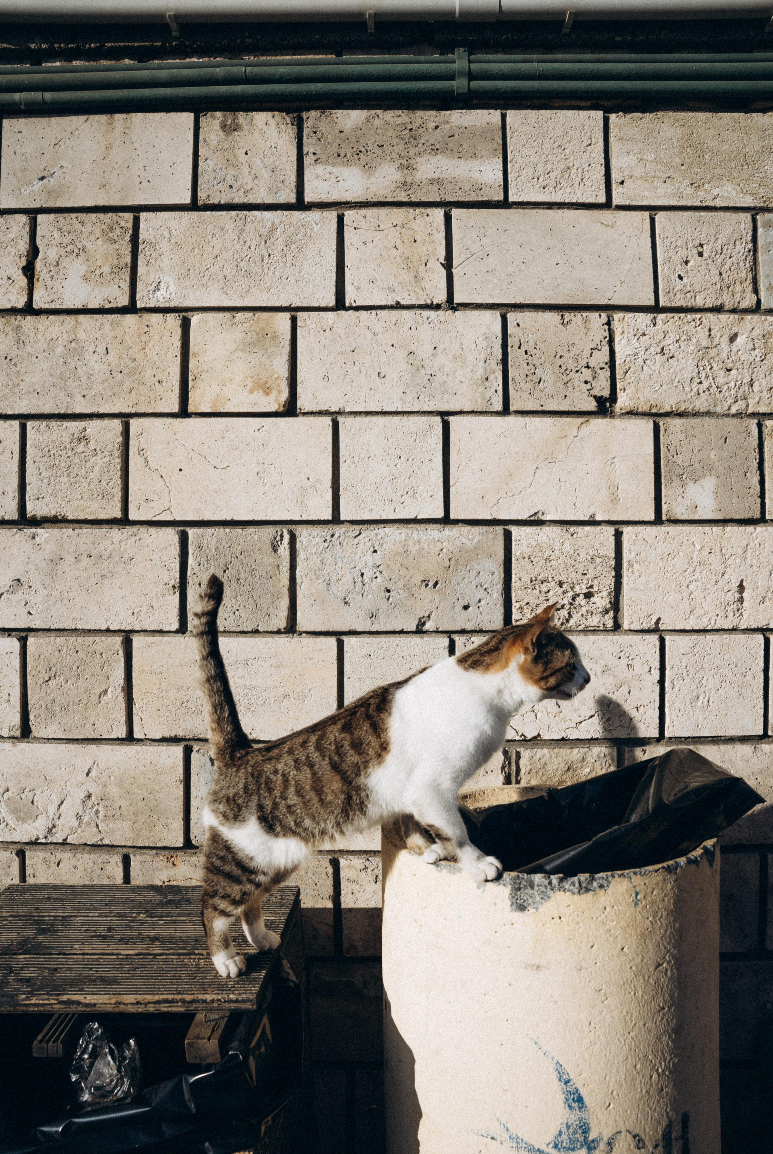 Крит 🇬🇷. Anita_photo