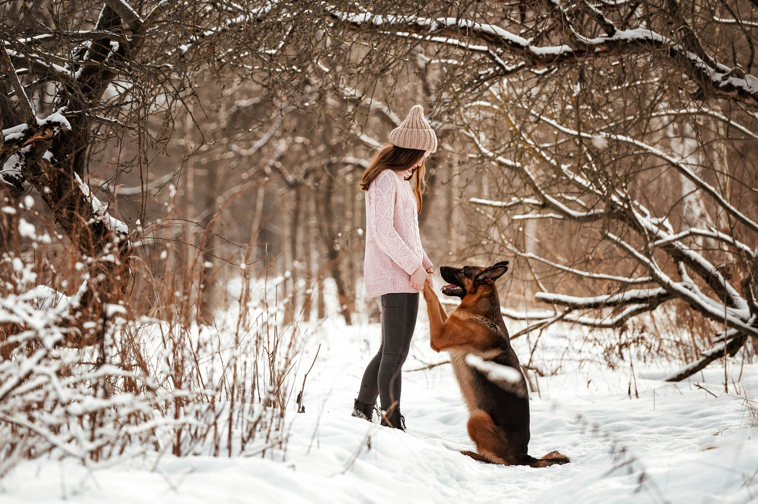 Вольт. Фотограф-анималист