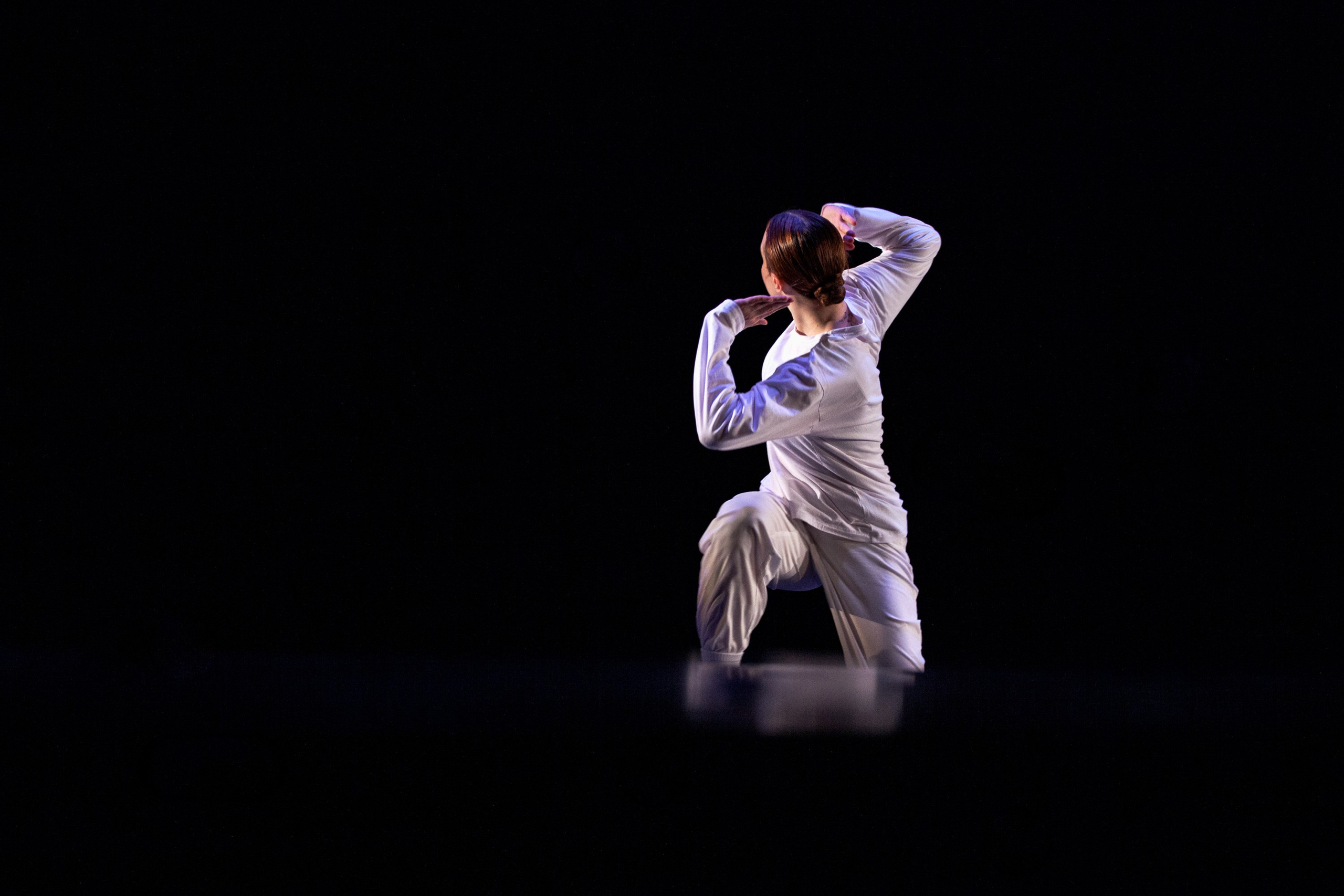 Концерты. Виолетта Скрипка